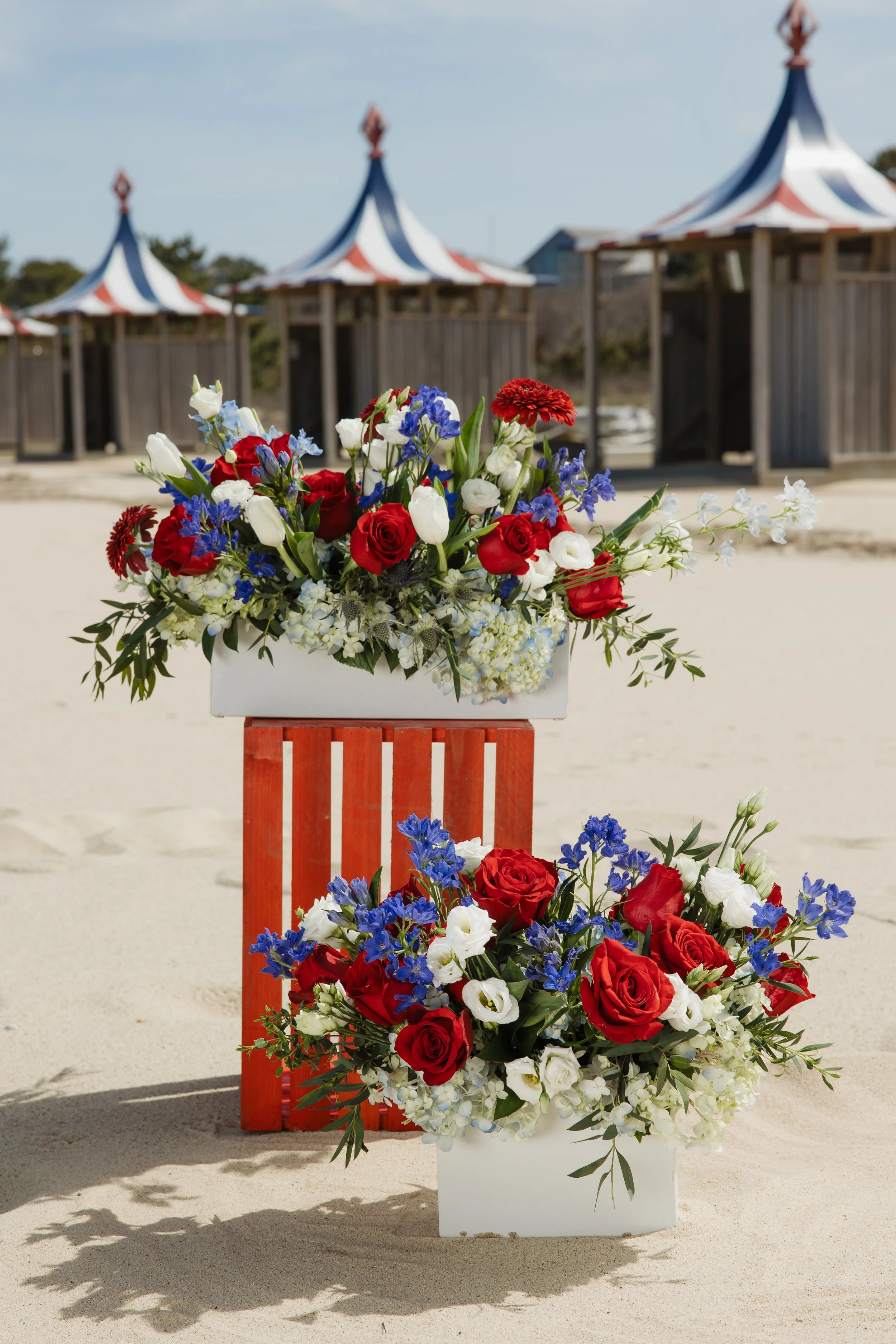 Donaroma -April 16, 2026-183- Larisa Stinga Photography.jpg