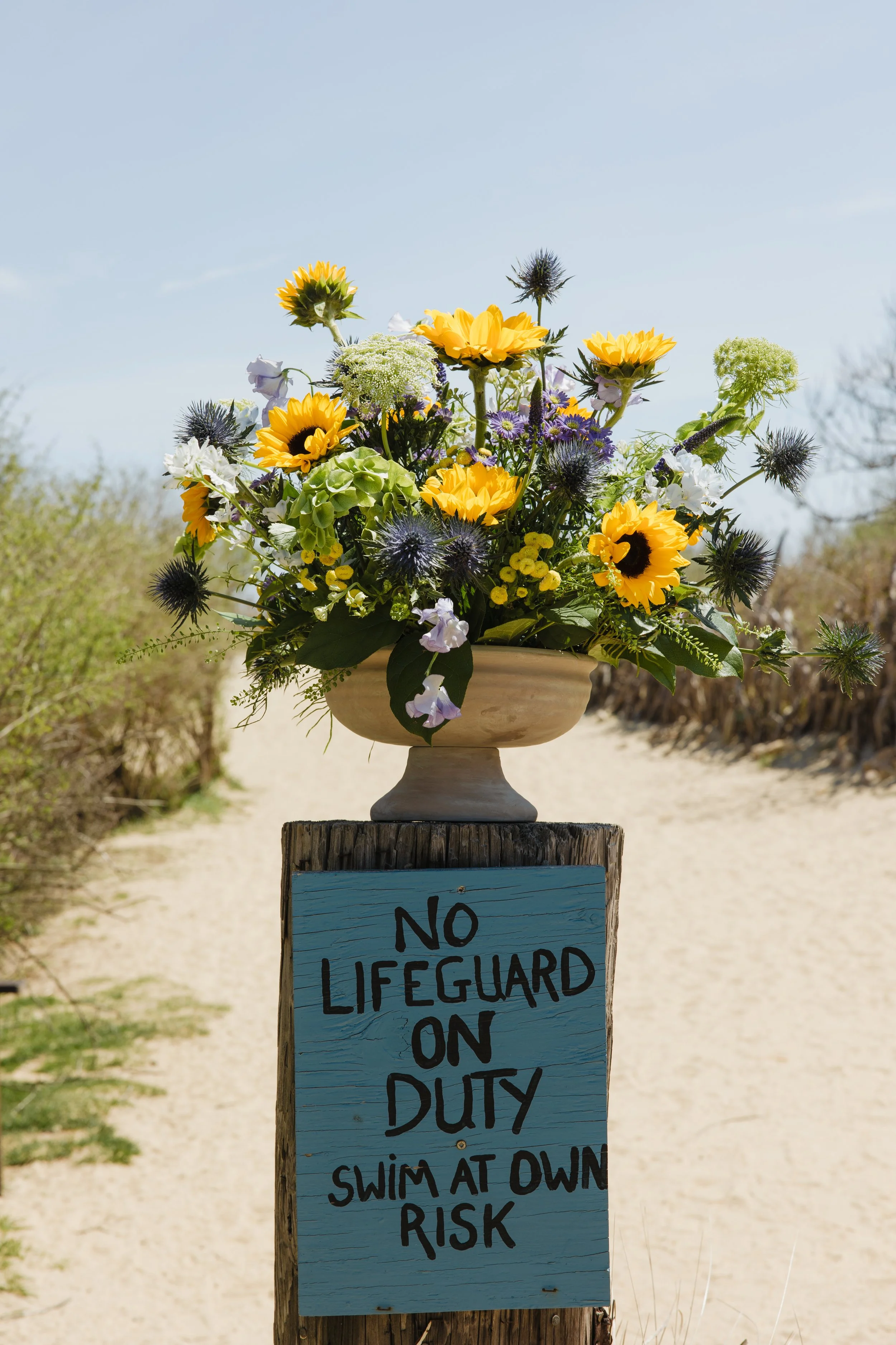 Donaroma -April 16, 2026-128- Larisa Stinga Photography.jpg