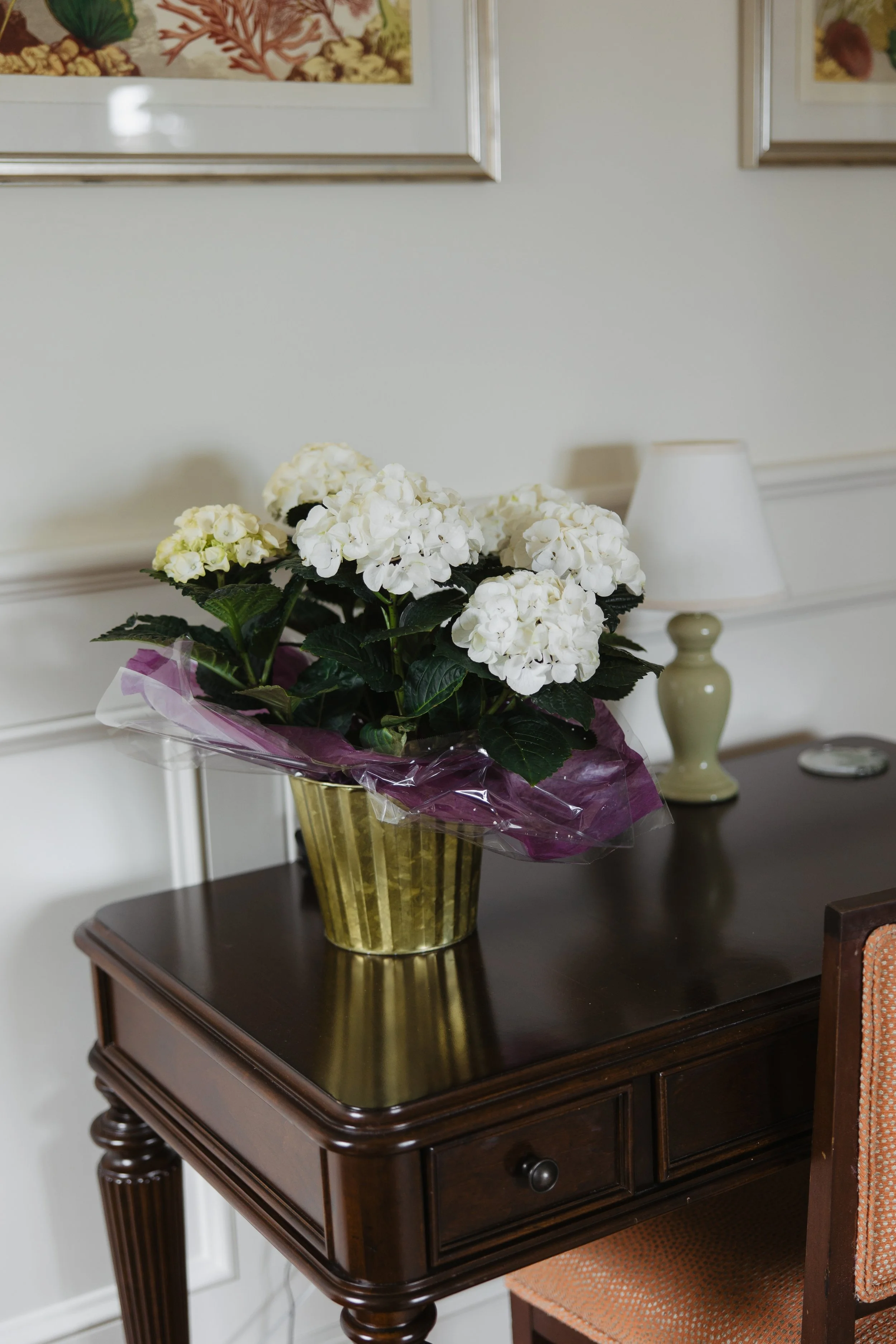 Donaroma -April 18, 2026-147- Larisa Stinga Photography.jpg