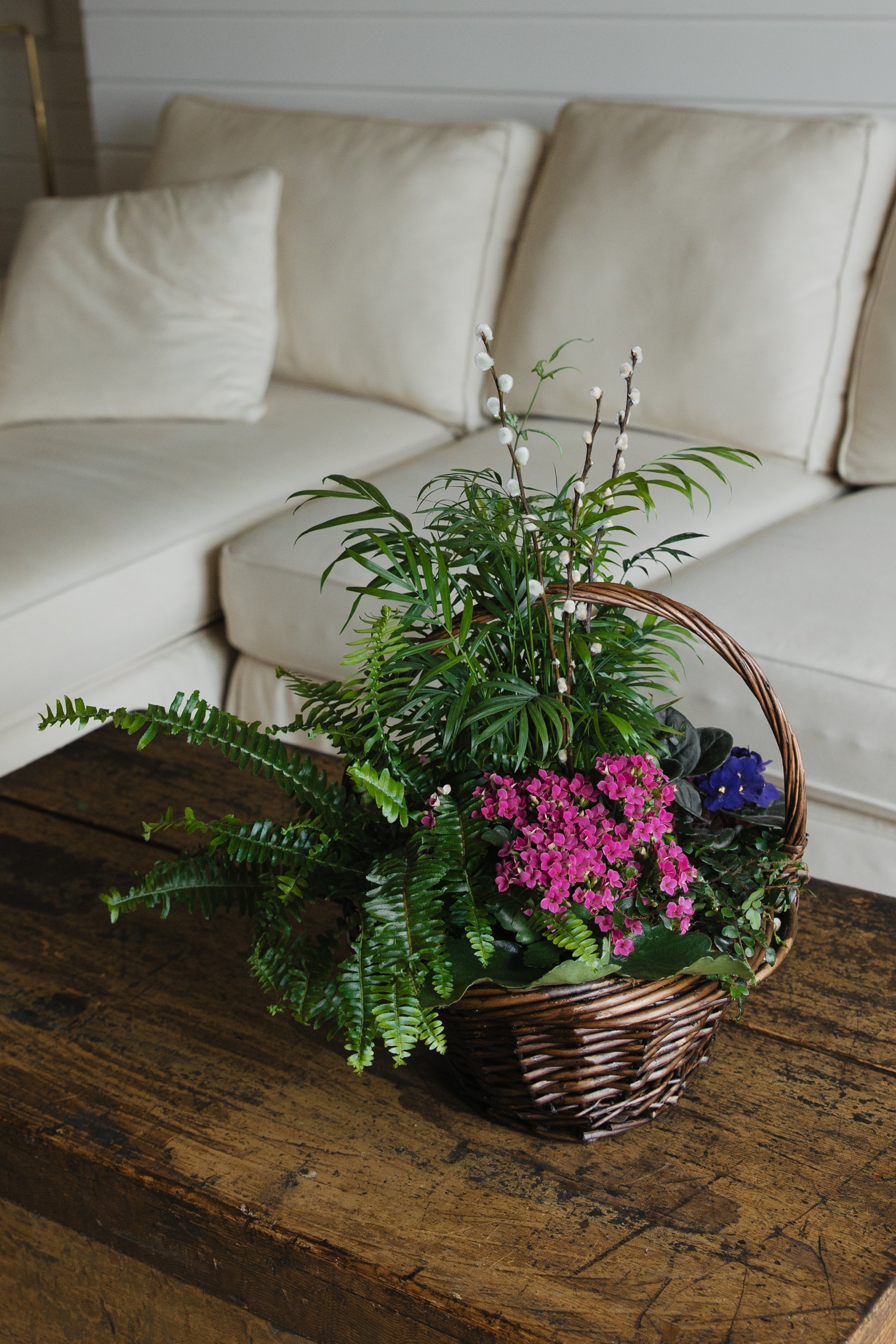 Donaroma -April 18, 2026-139- Larisa Stinga Photography.jpg