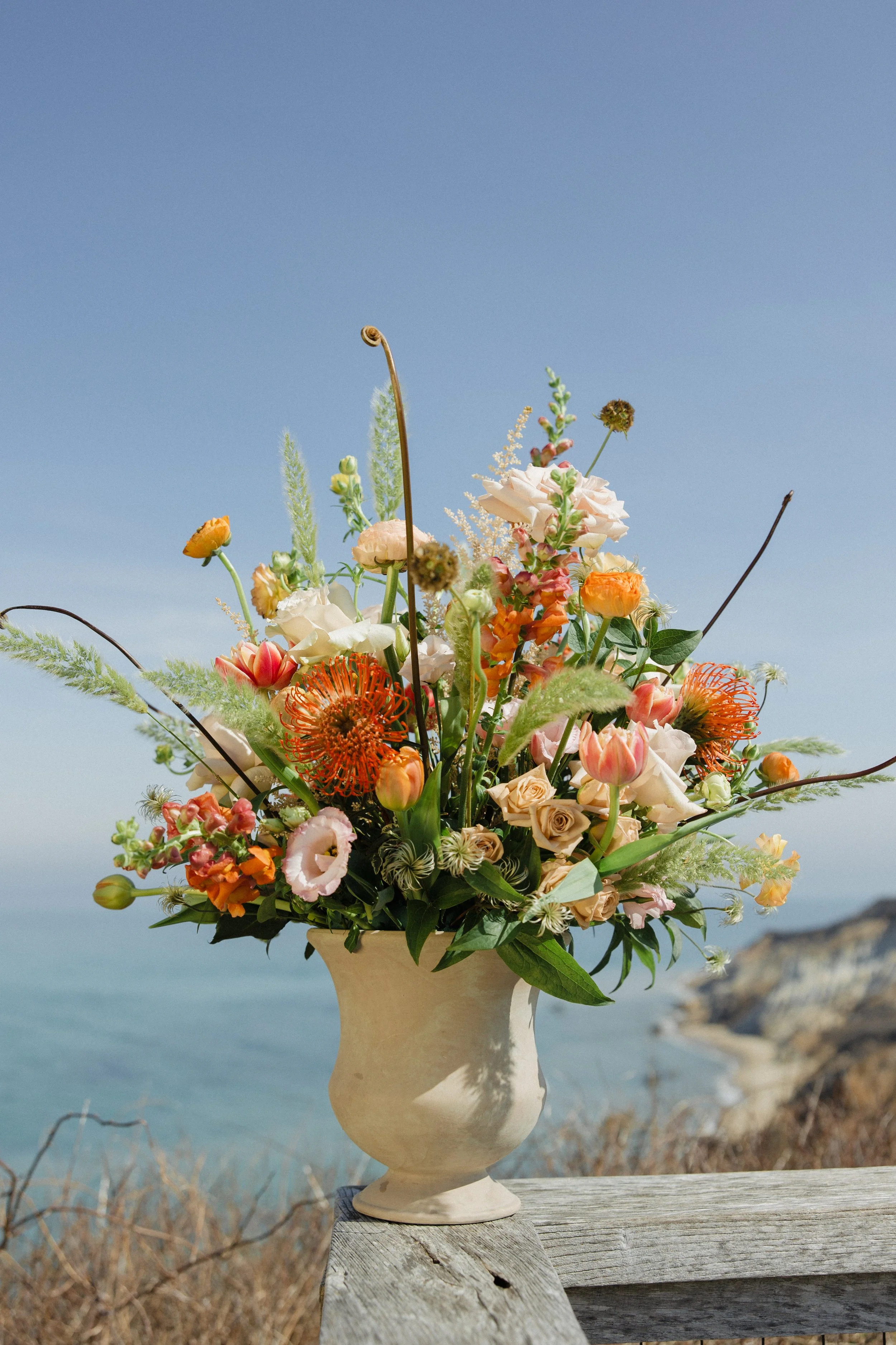 Donaroma -April 16, 2026-007- Larisa Stinga Photography.jpg