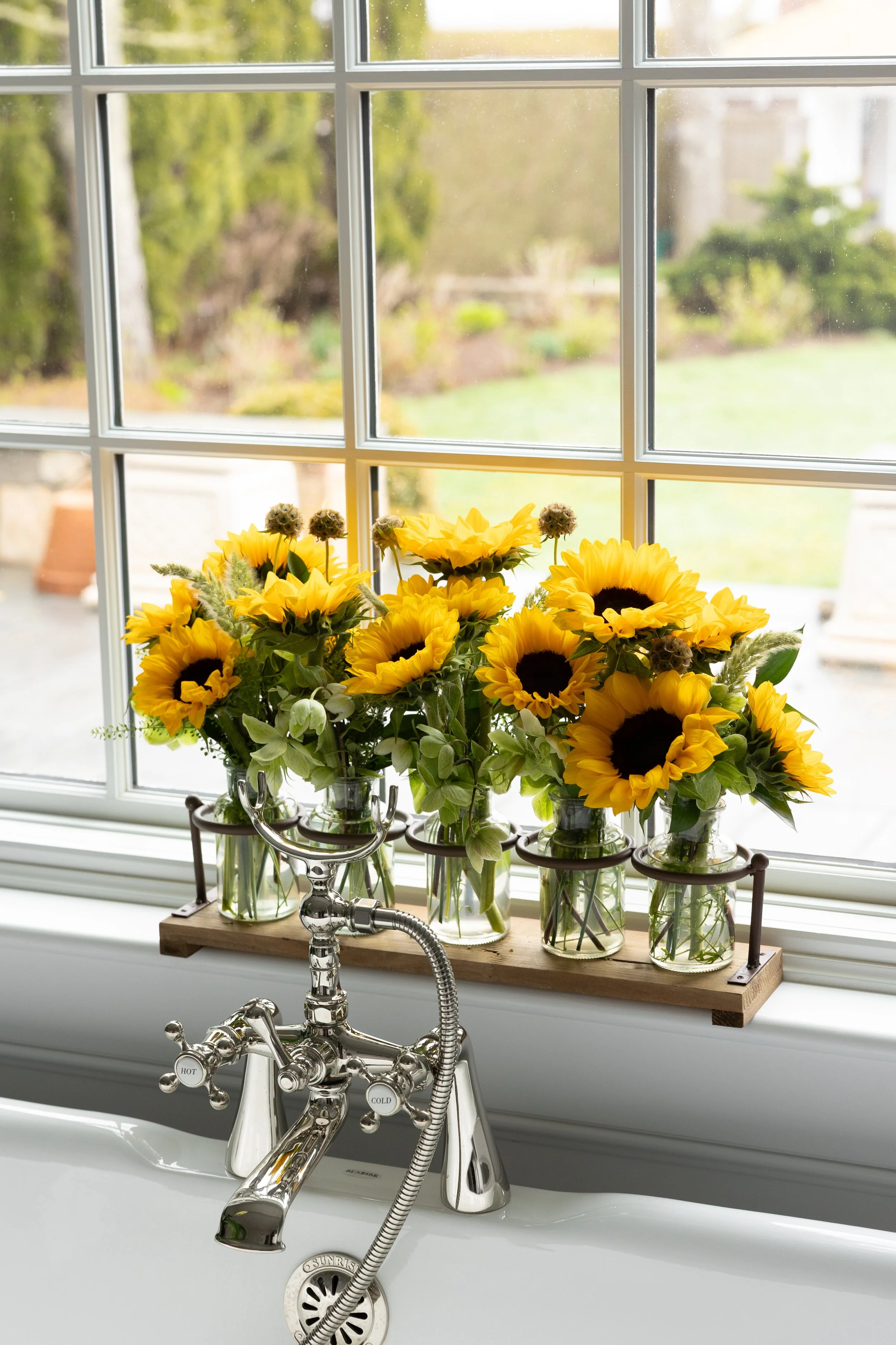 Donaroma -April 18, 2026-123- Larisa Stinga Photography.jpg