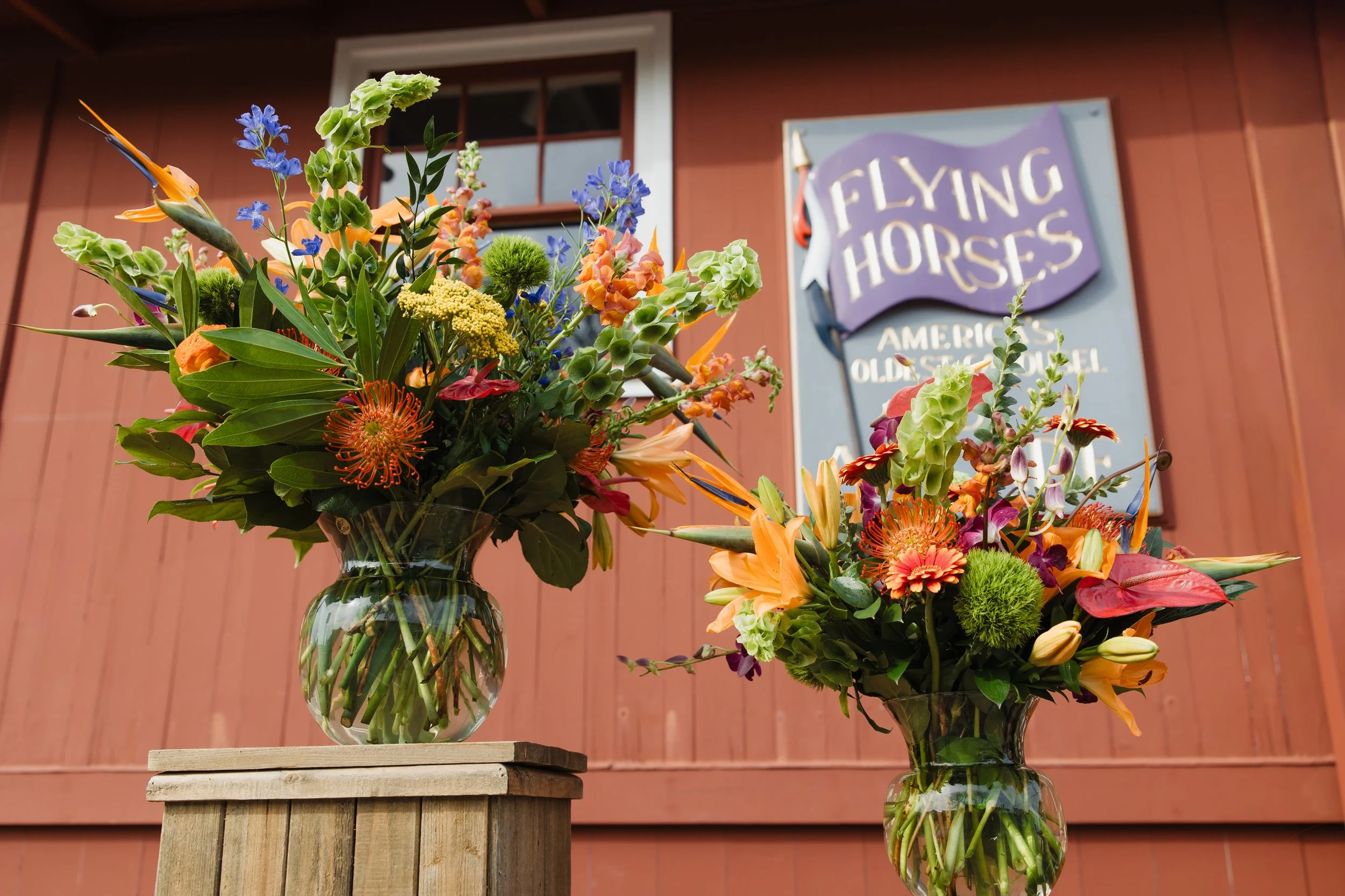 Donaroma -April 16, 2026-251- Larisa Stinga Photography.jpg