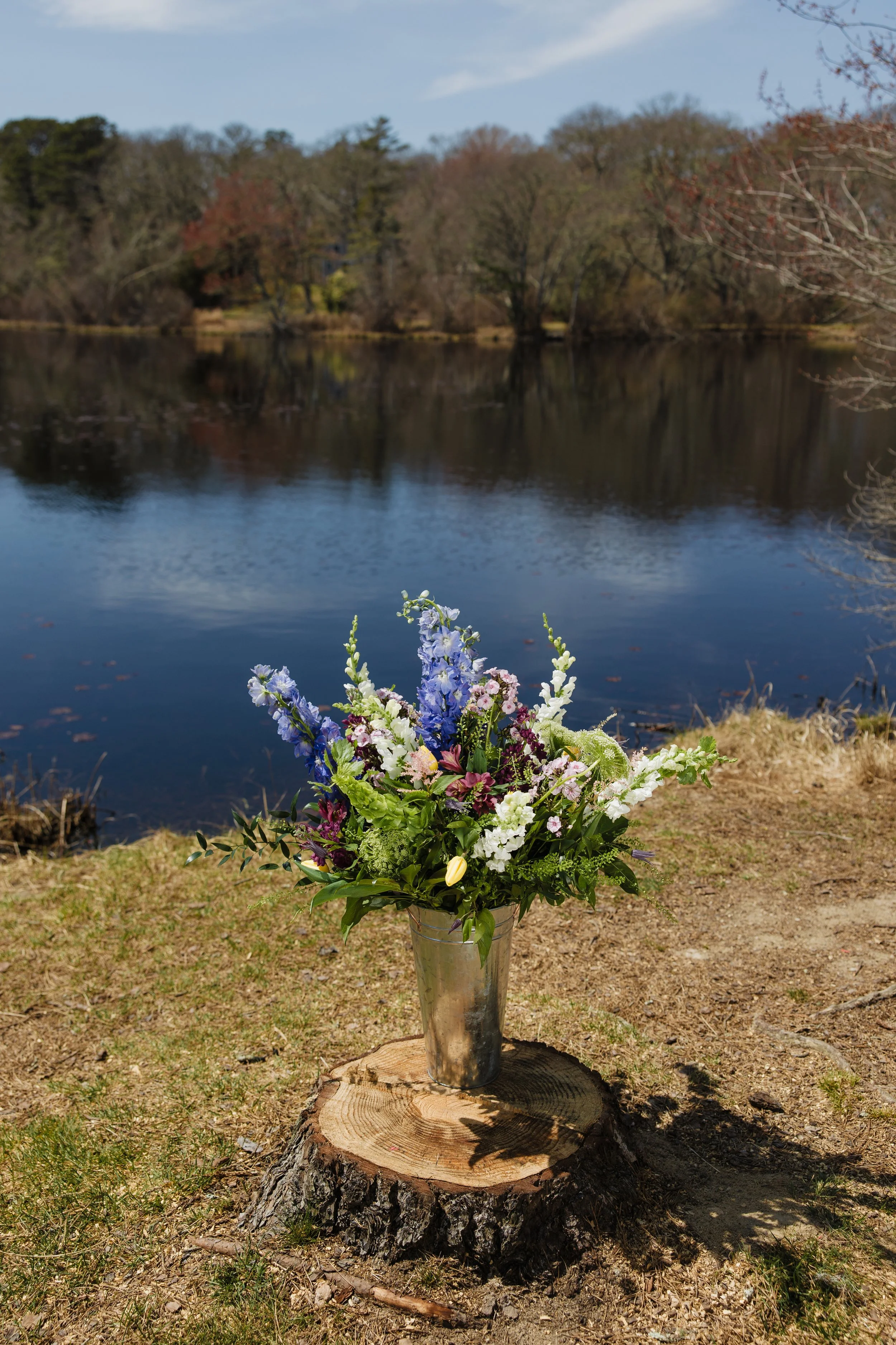 Donaroma -April 16, 2026-134- Larisa Stinga Photography.jpg