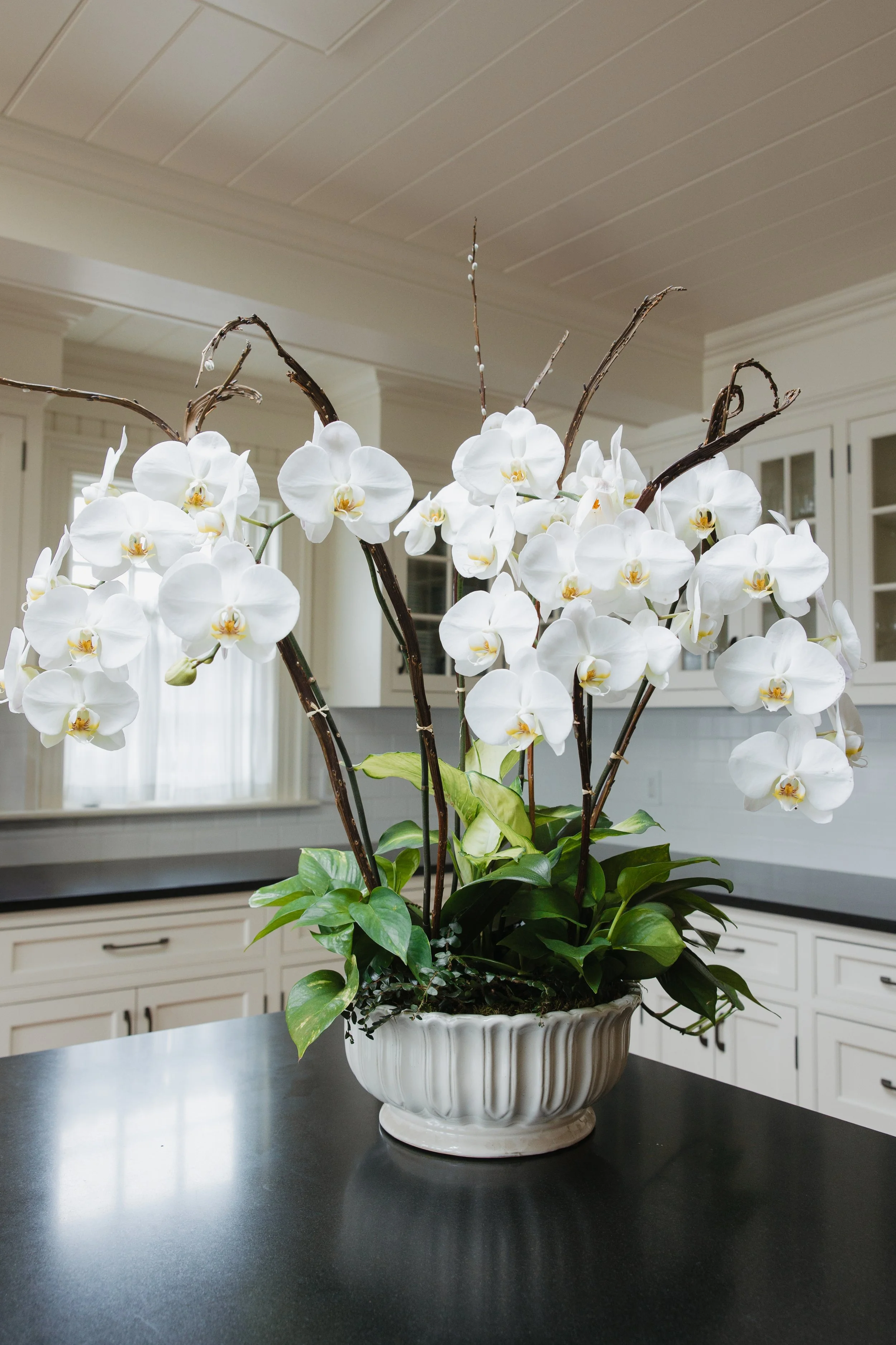 Donaroma -April 18, 2026-099- Larisa Stinga Photography.jpg