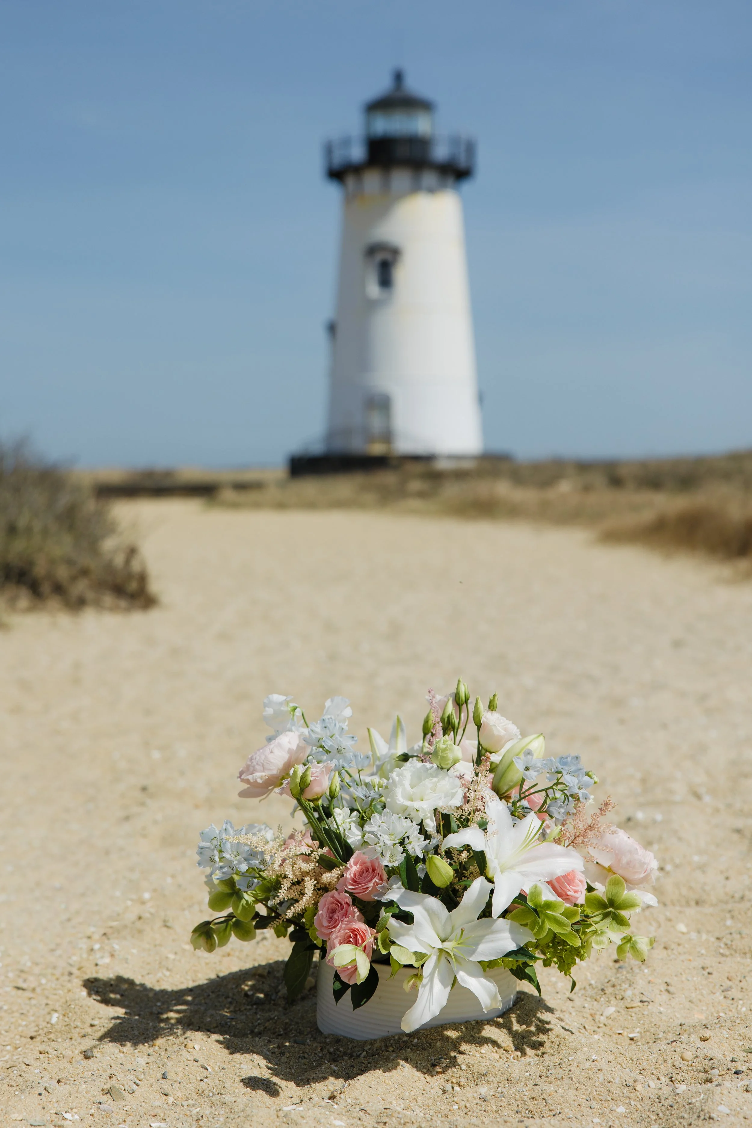 Donaroma -April 16, 2026-162- Larisa Stinga Photography.jpg