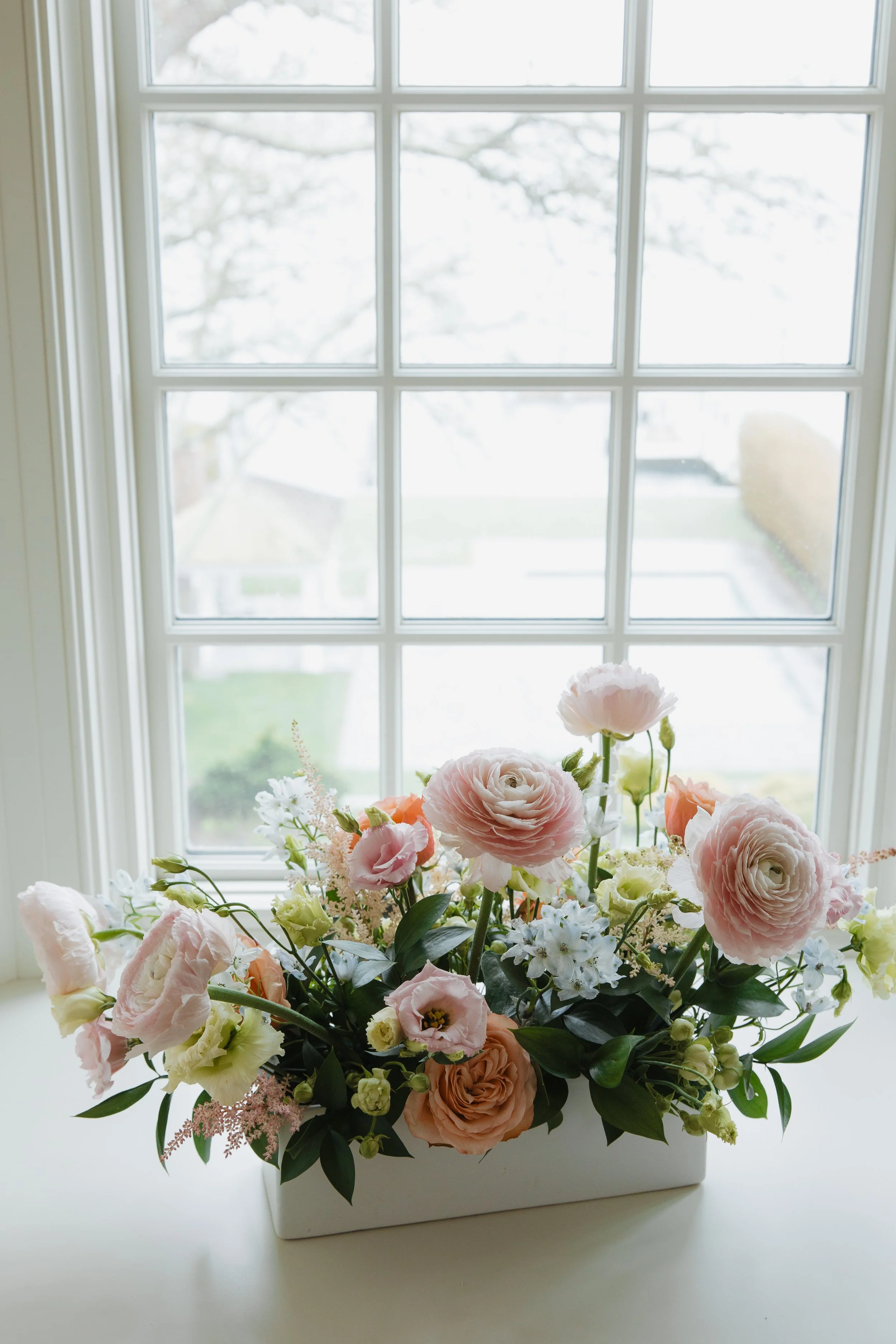 Donaroma -April 18, 2026-088- Larisa Stinga Photography.jpg