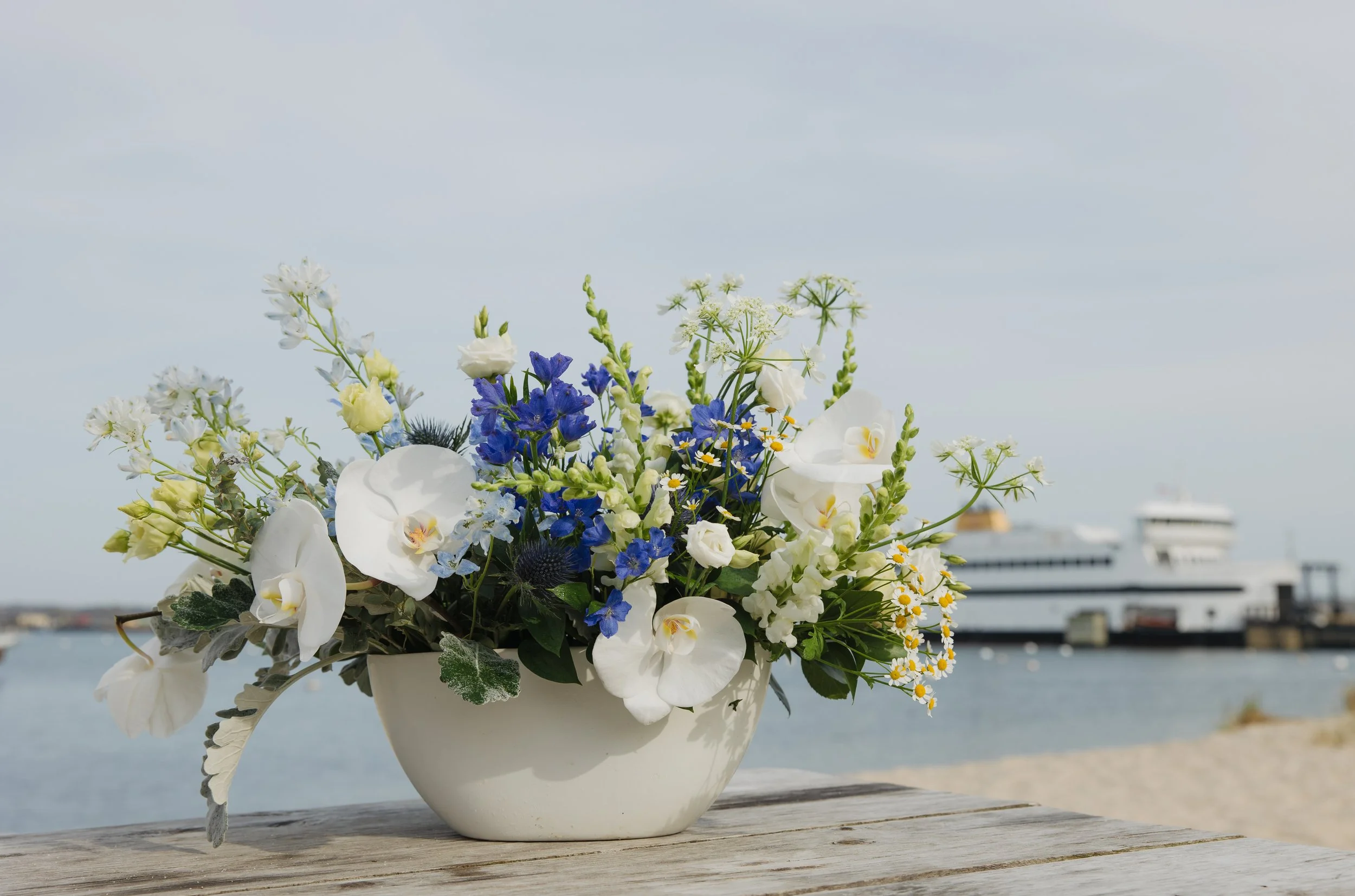 Donaroma -April 16, 2026-255- Larisa Stinga Photography.jpg