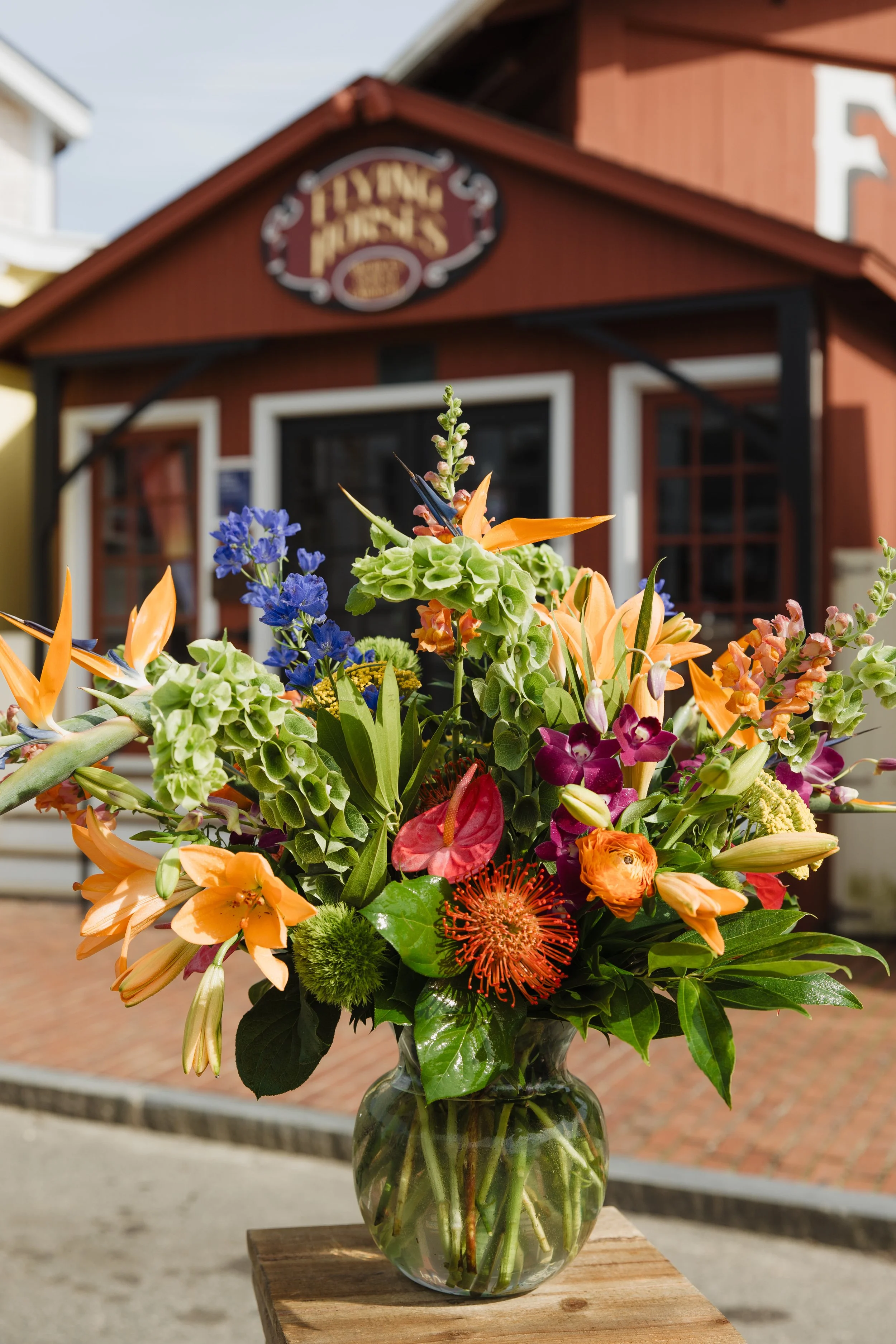 Donaroma -April 16, 2026-228- Larisa Stinga Photography.jpg