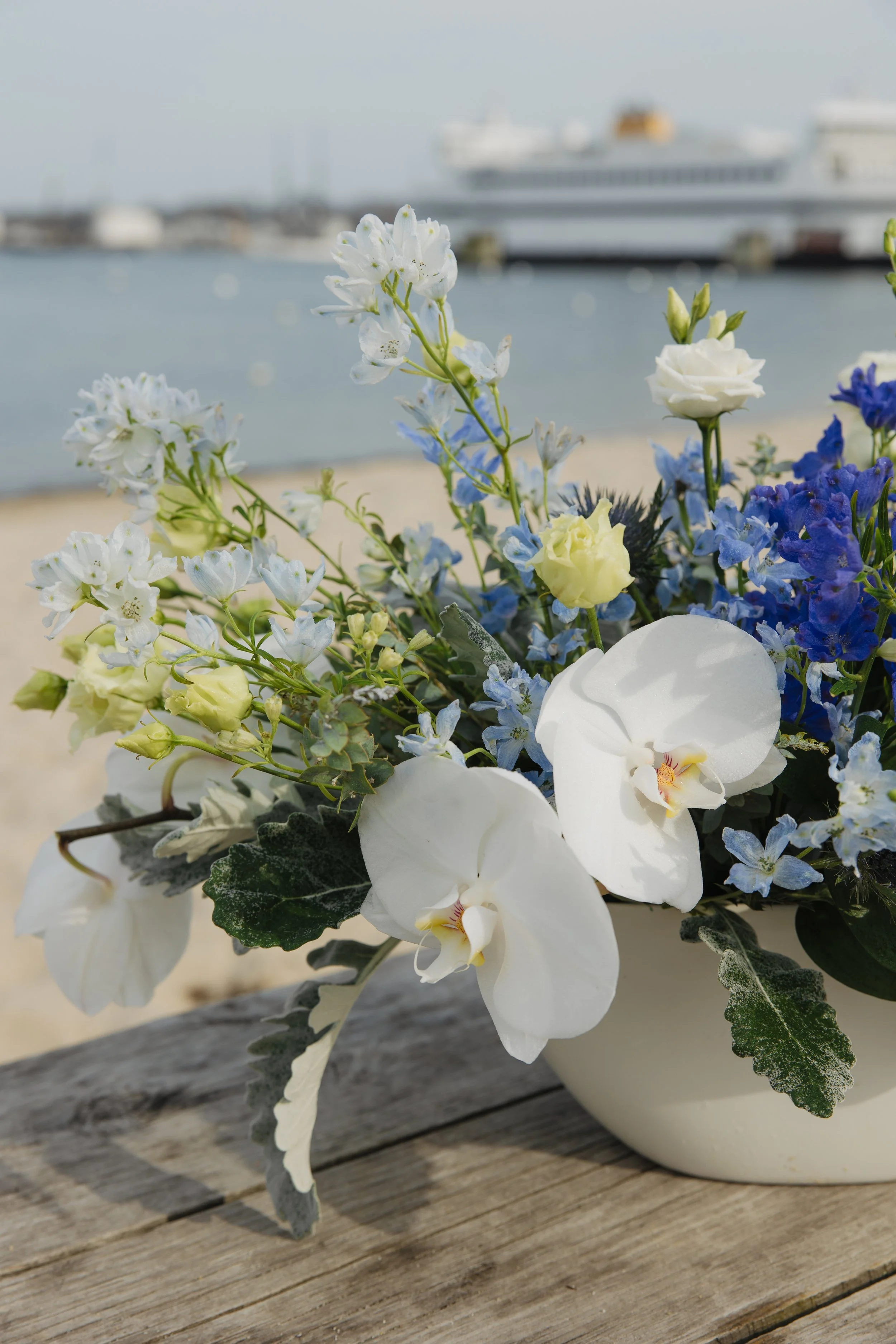 Donaroma -April 16, 2026-259- Larisa Stinga Photography.jpg