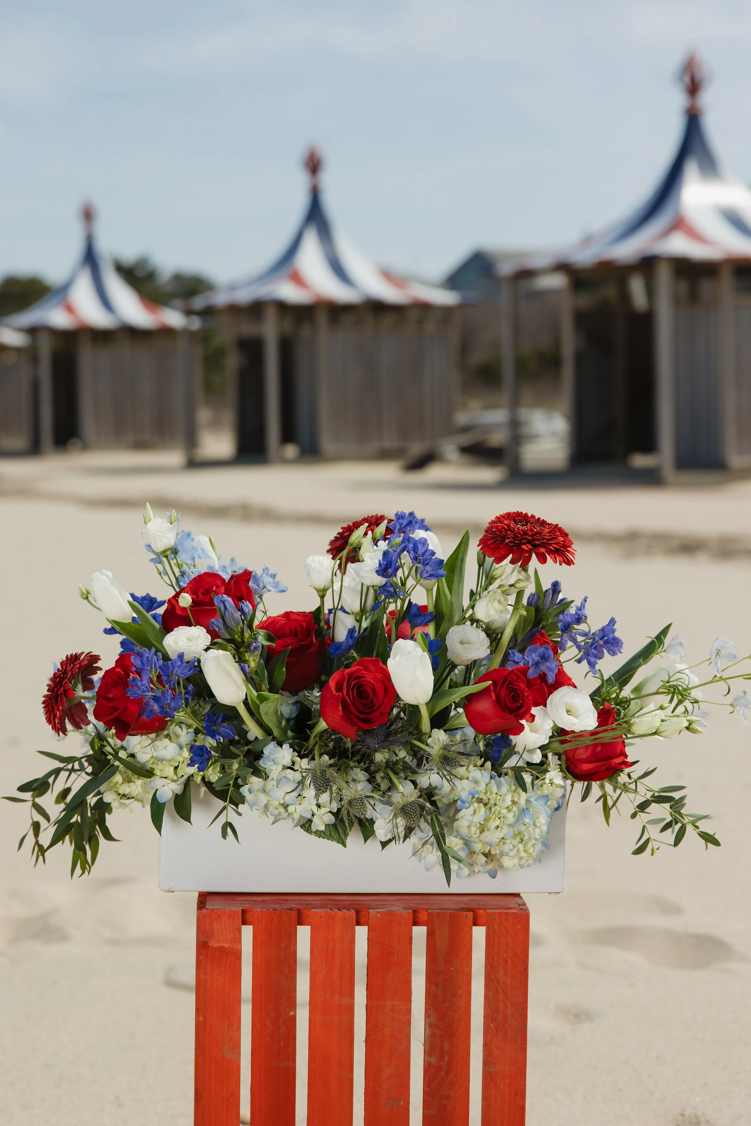 Donaroma -April 16, 2026-175- Larisa Stinga Photography.jpg