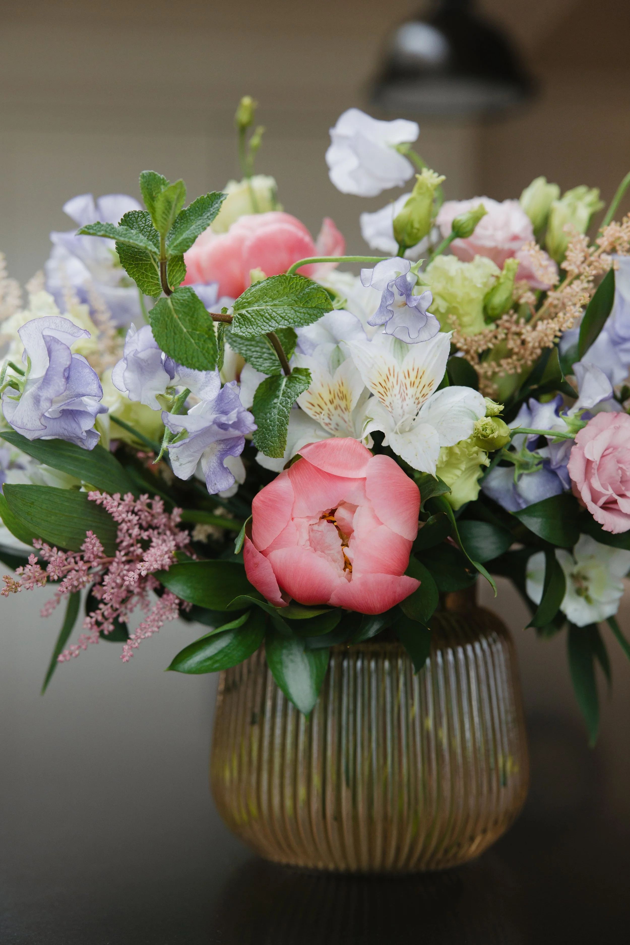 Donaroma -April 18, 2026-011- Larisa Stinga Photography.jpg