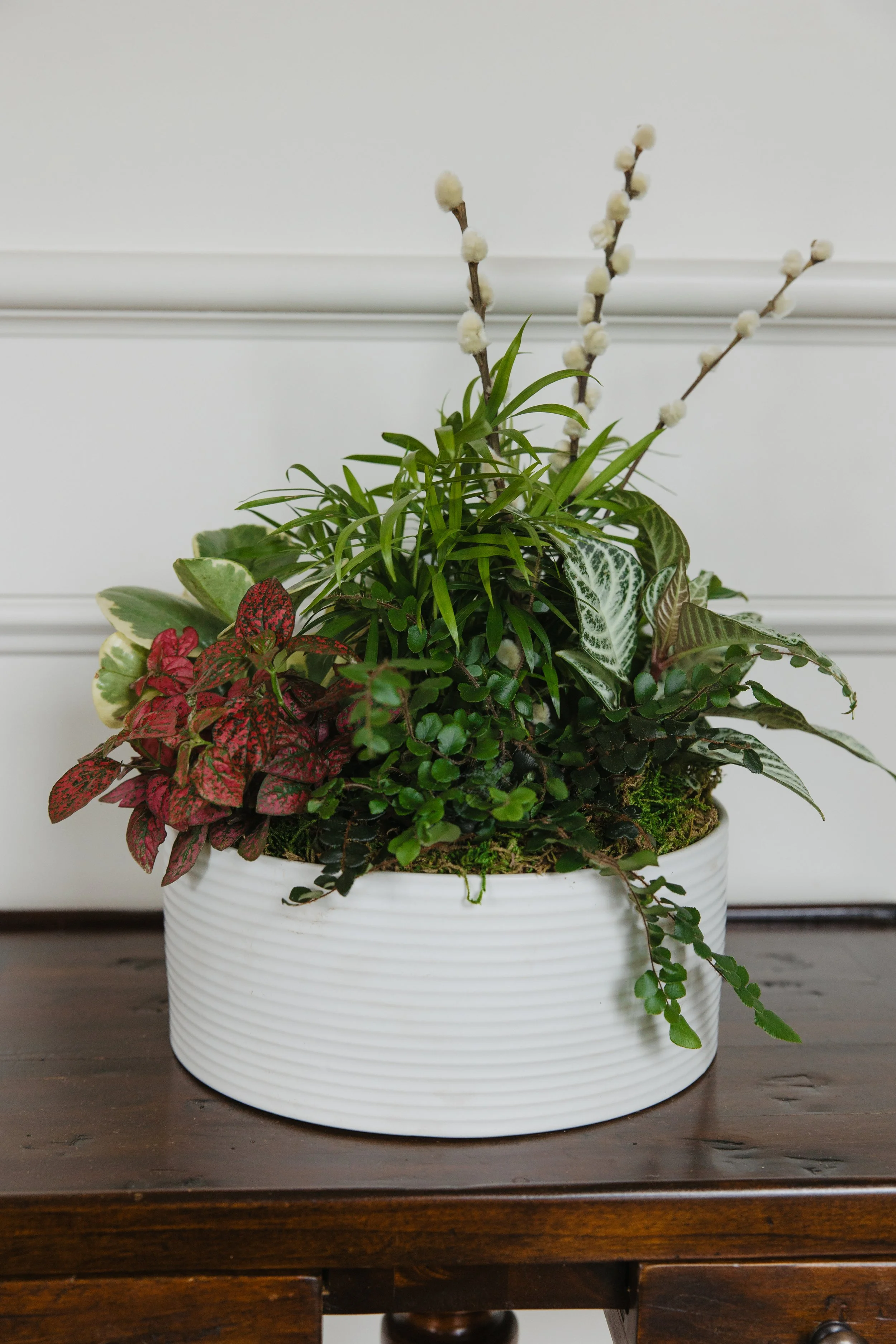 Donaroma -April 18, 2026-049- Larisa Stinga Photography.jpg