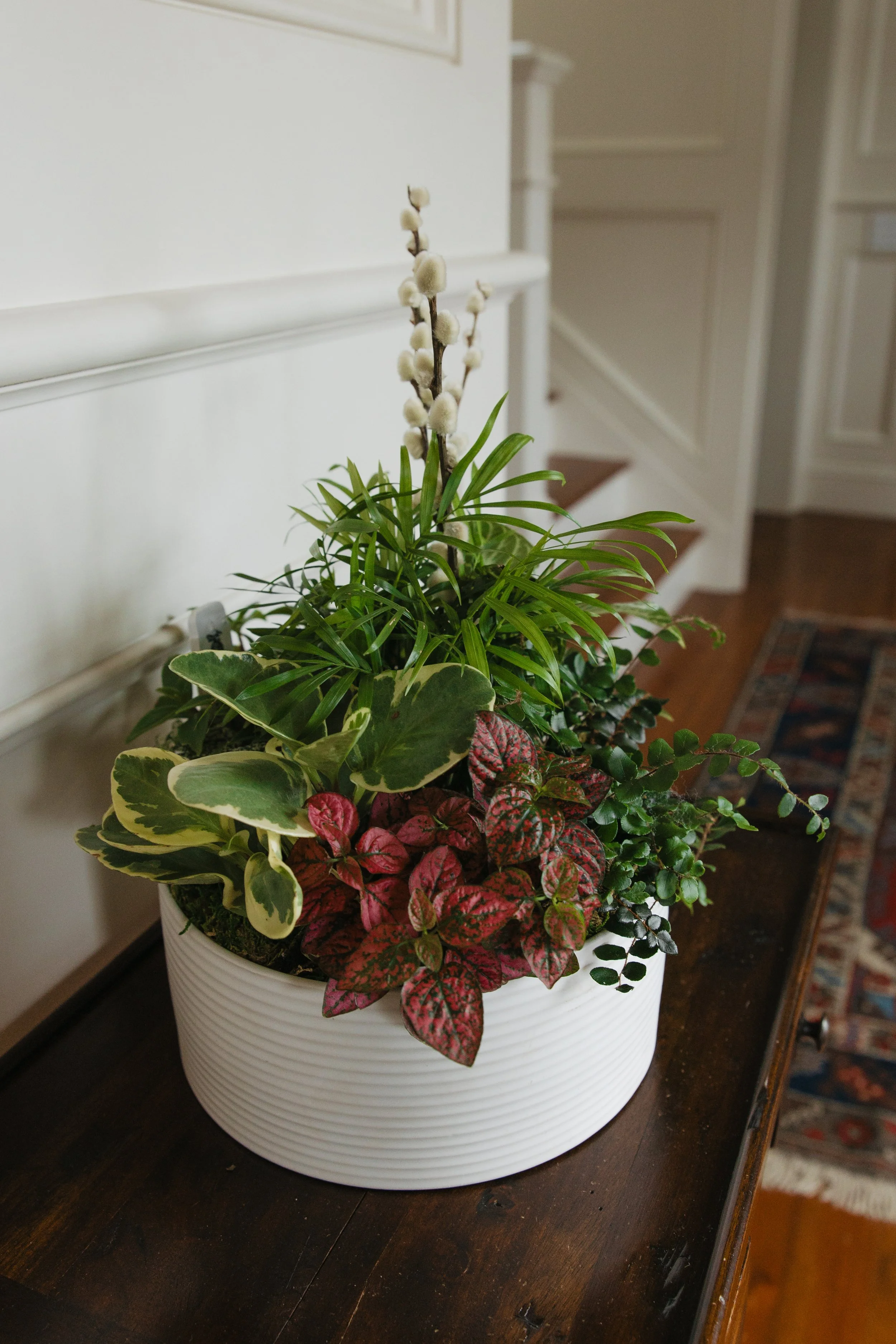 Donaroma -April 18, 2026-052- Larisa Stinga Photography.jpg