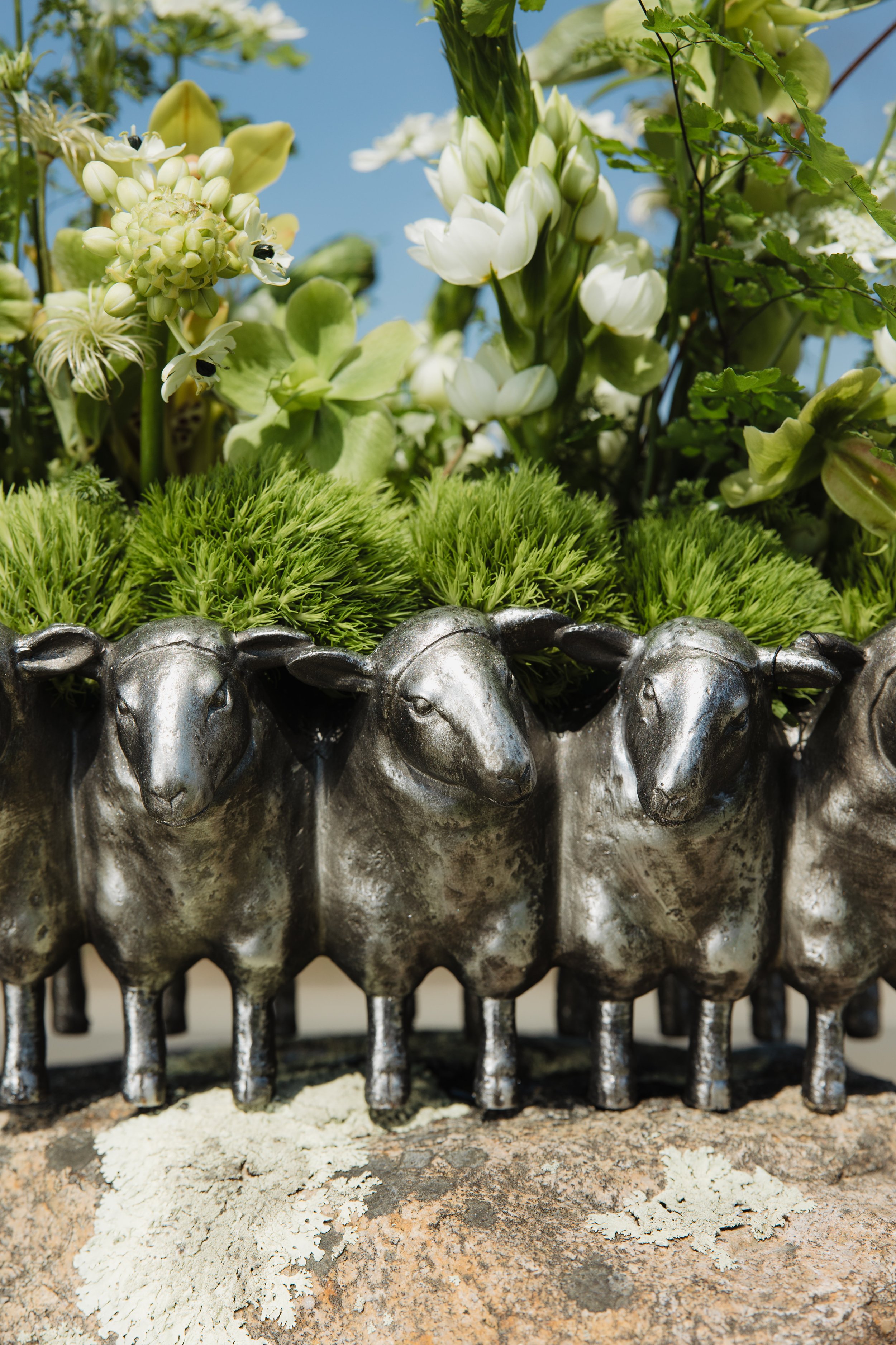 Donaroma -April 16, 2026-082- Larisa Stinga Photography.jpg