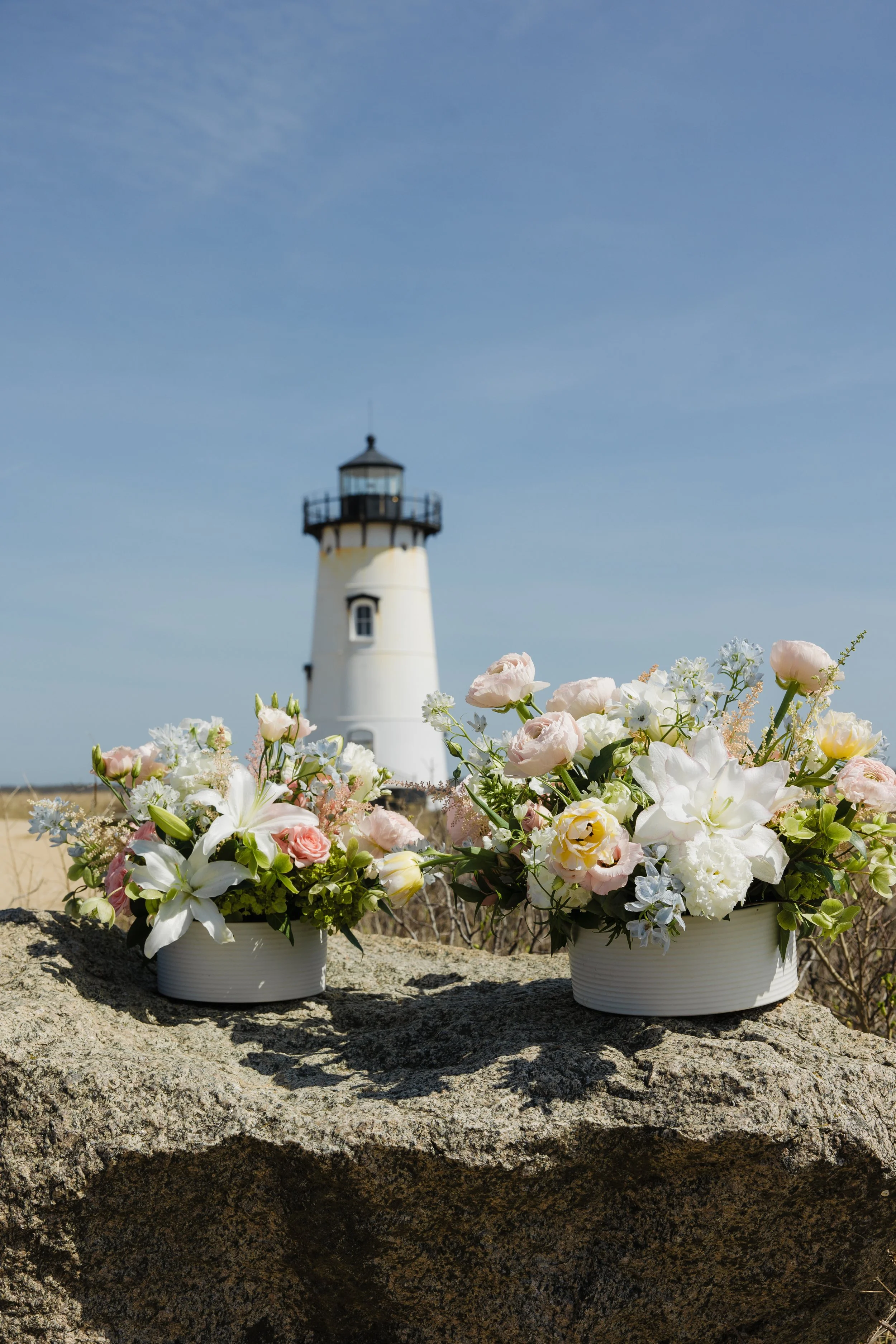 Donaroma -April 16, 2026-169- Larisa Stinga Photography.jpg