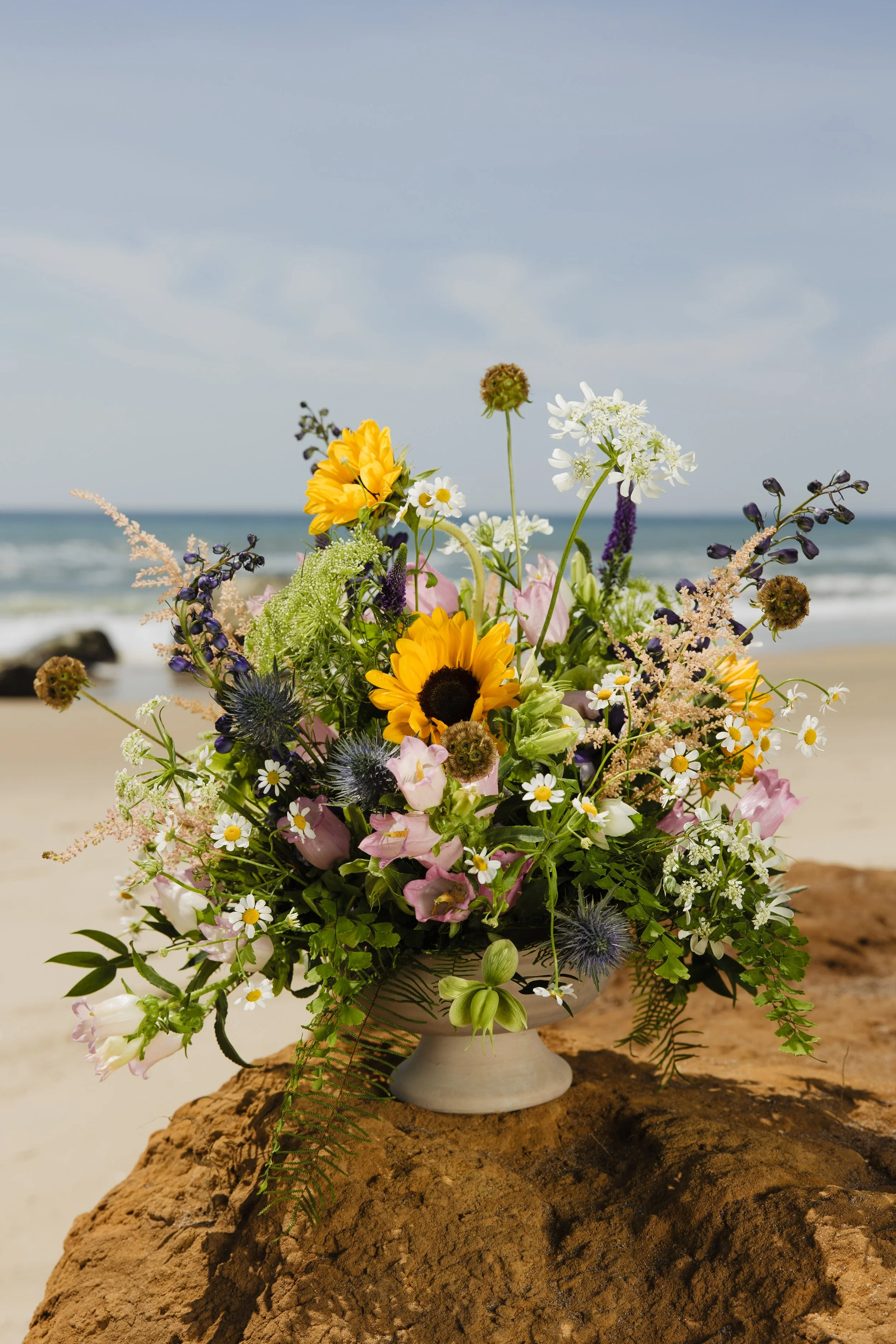 Donaroma -April 16, 2026-107- Larisa Stinga Photography.jpg