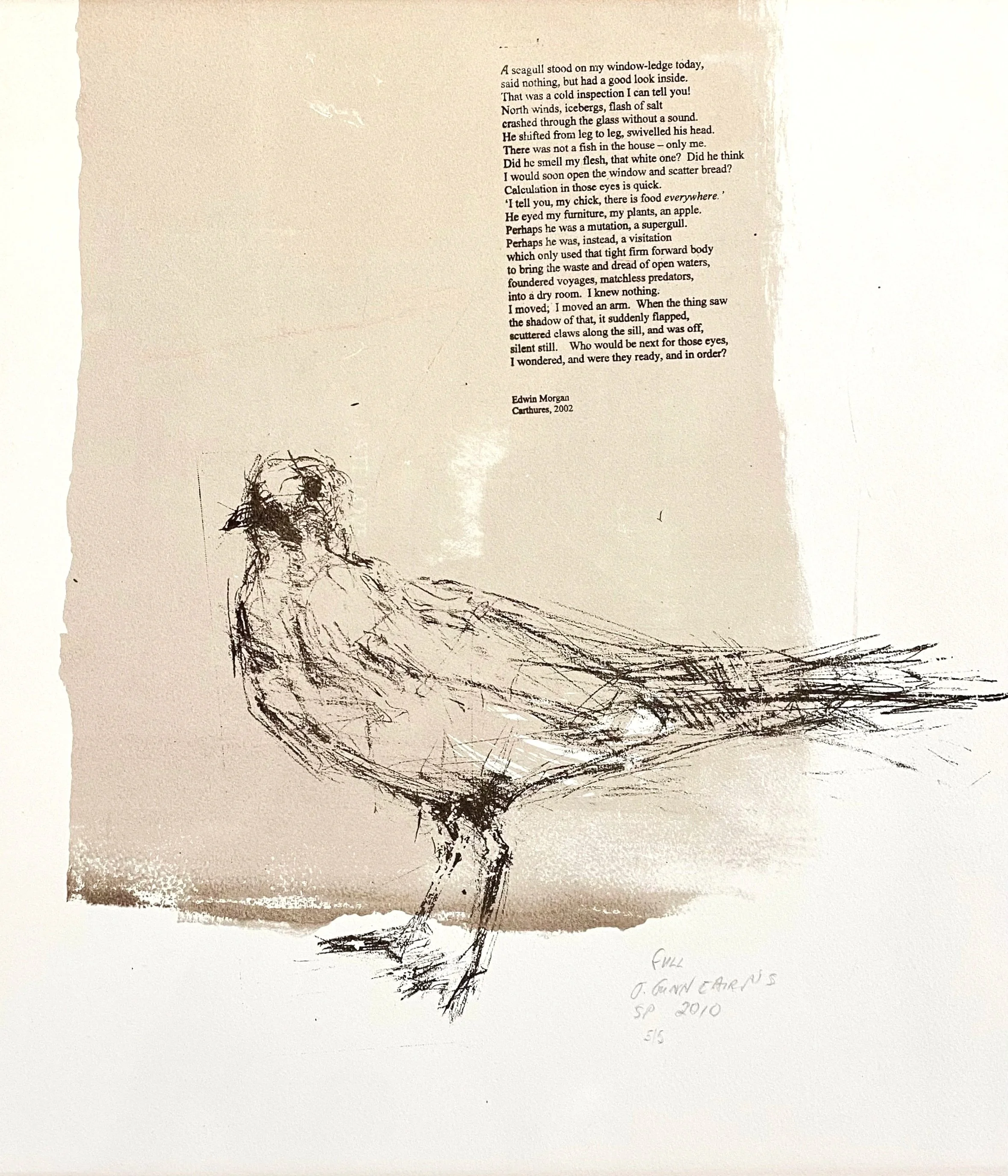 Gull  |  £200.00