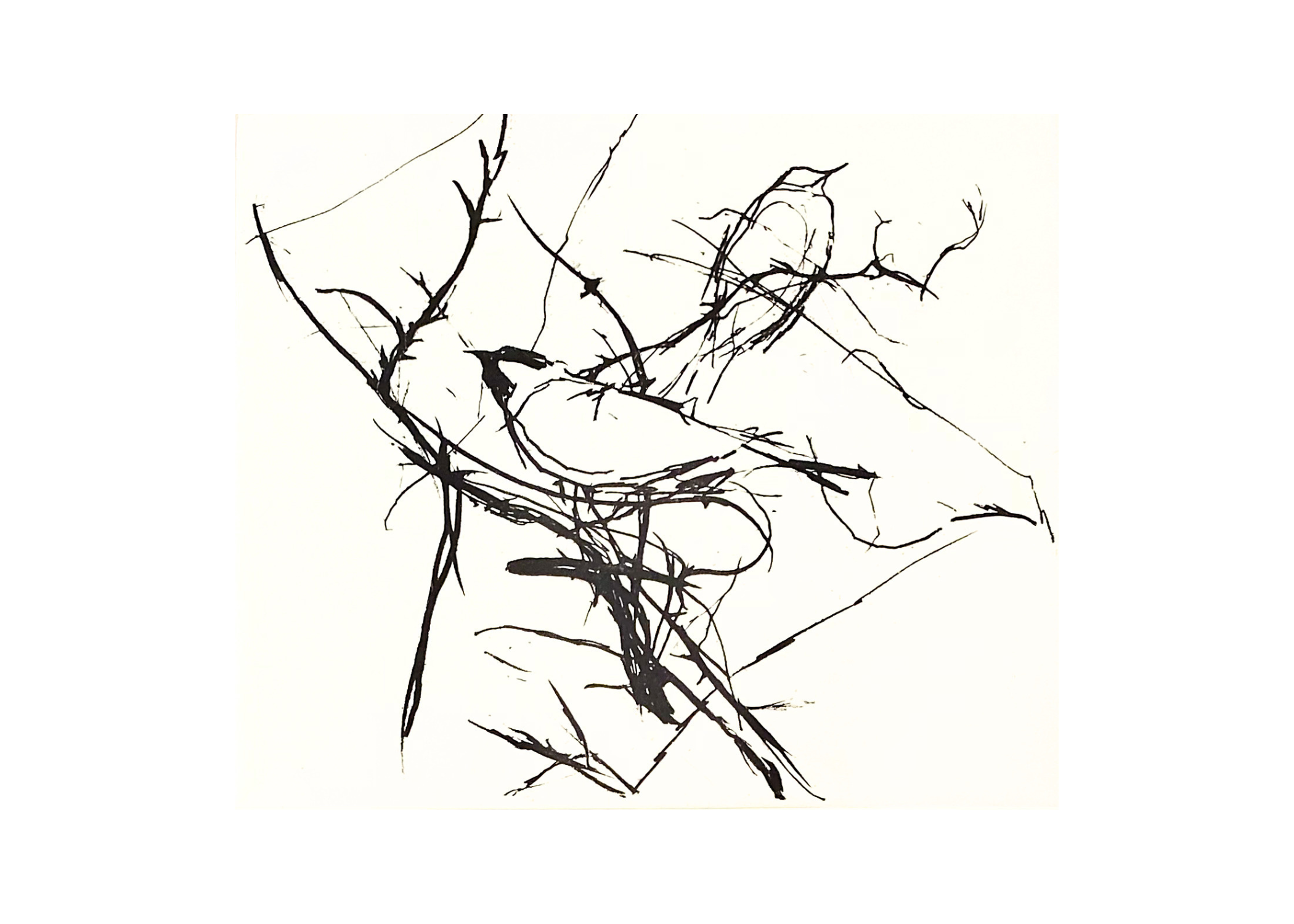 Cold Sparrows  |  £240.00