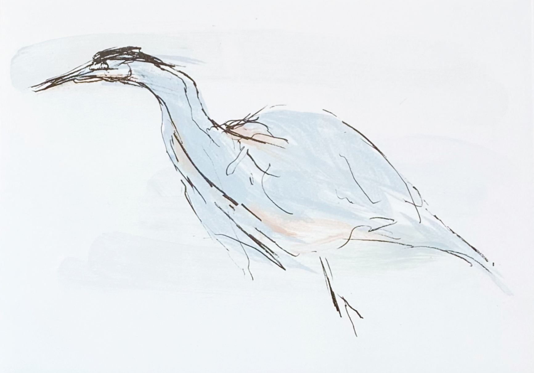 Heron  |  £260.00