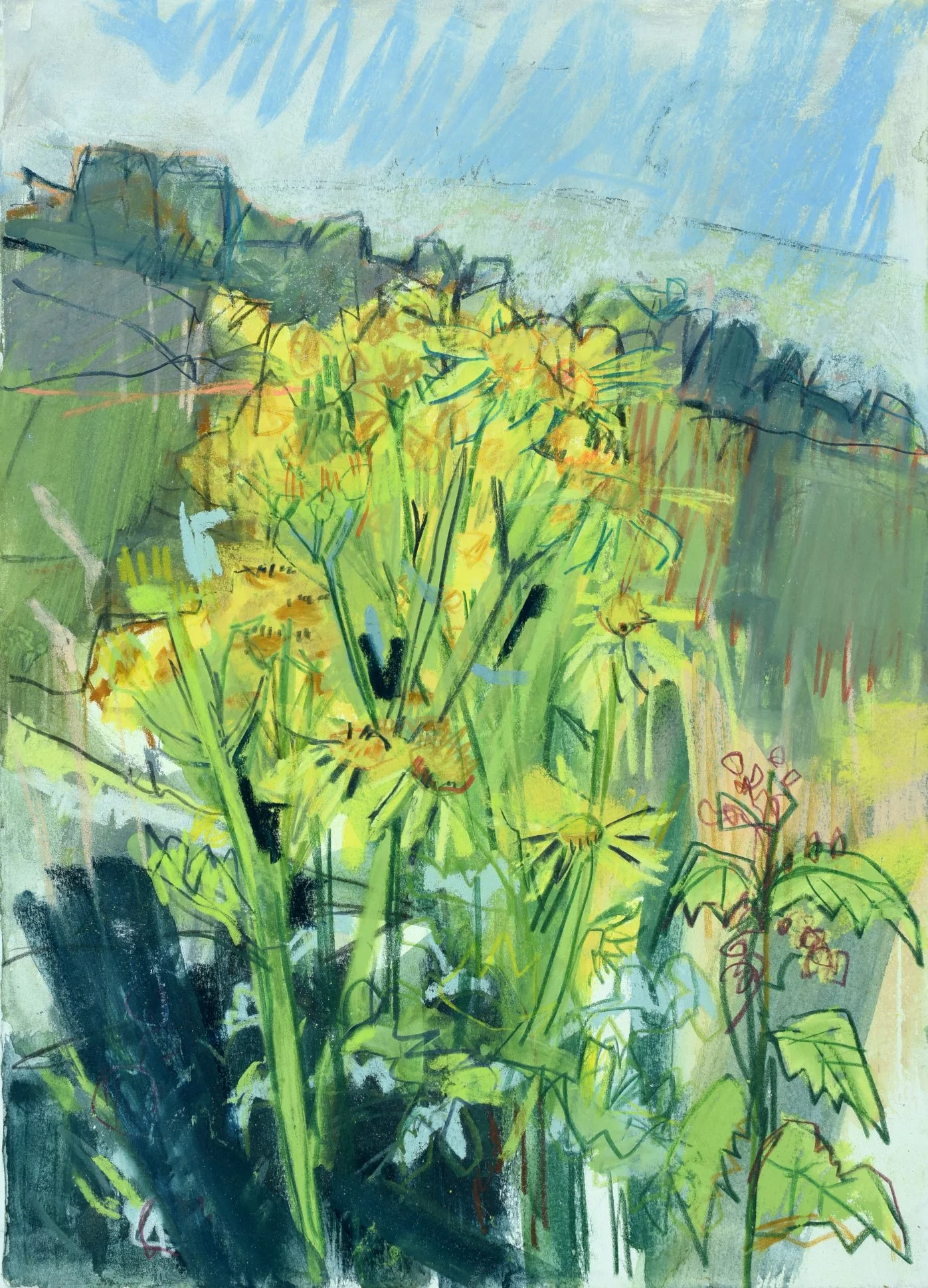 Abundant Ragwort  | £495.00