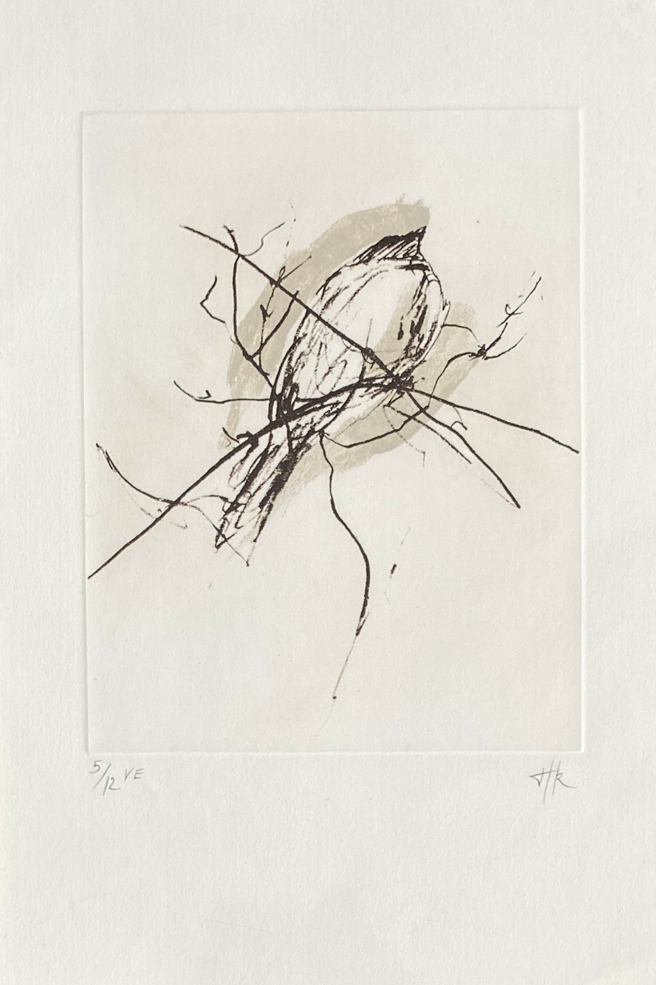 #5  Lone Sparrow | Etching 5/12 | Image size 170mmx140mm | Paper size 280mm x190m | £120.00
