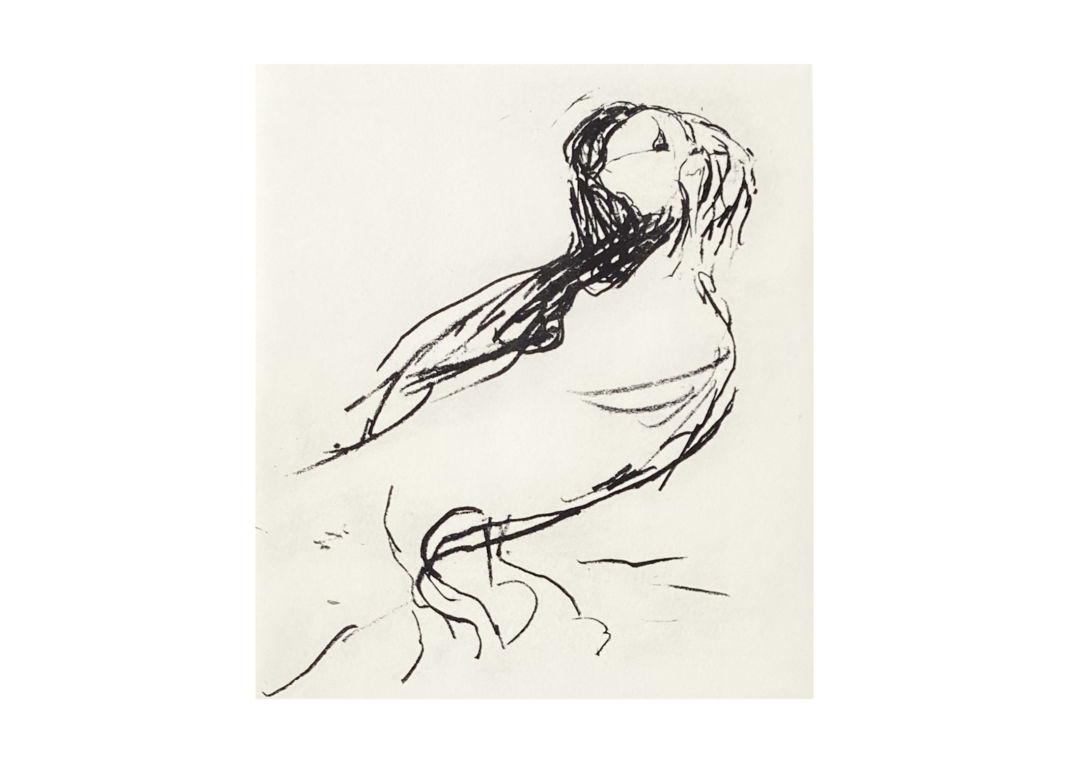 Puffin Catch  |  £240.00