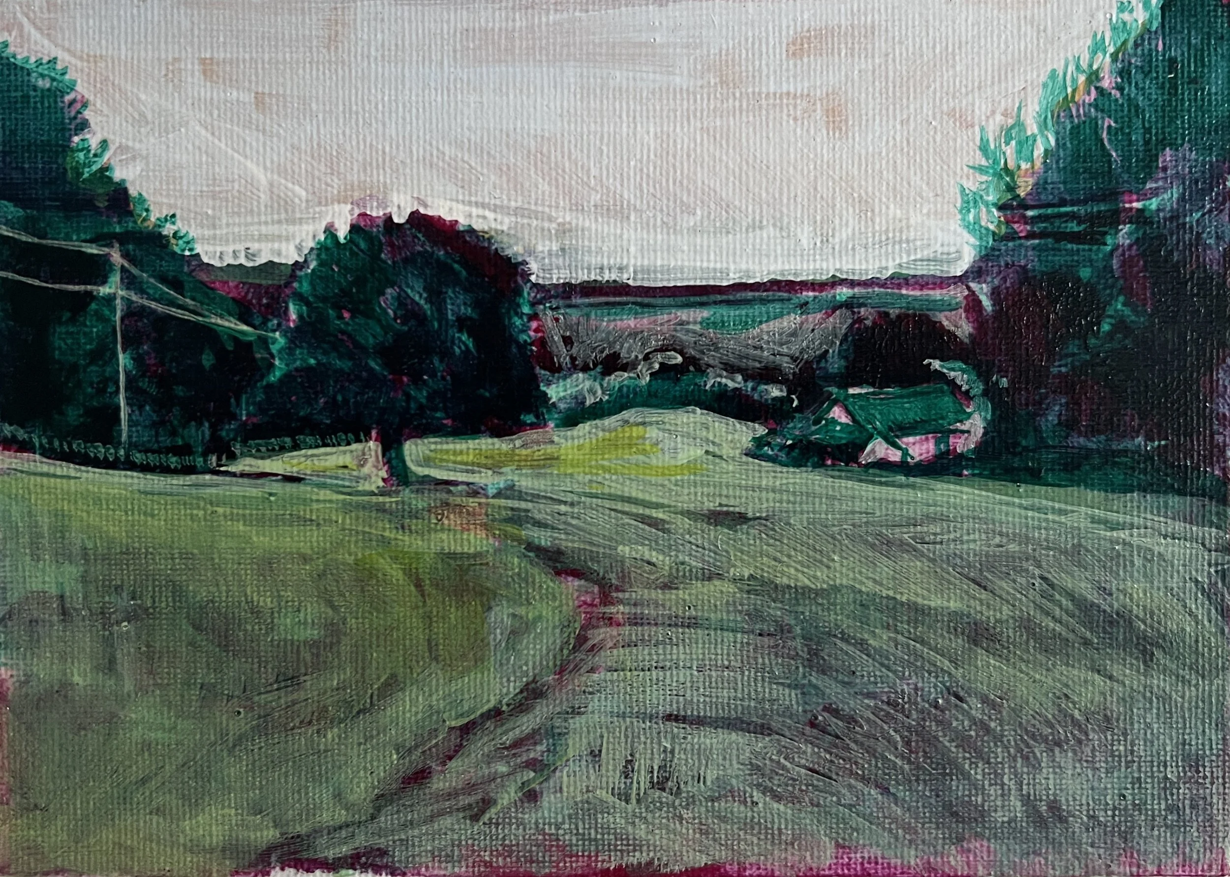 View Down The Meadow  |  £150.00