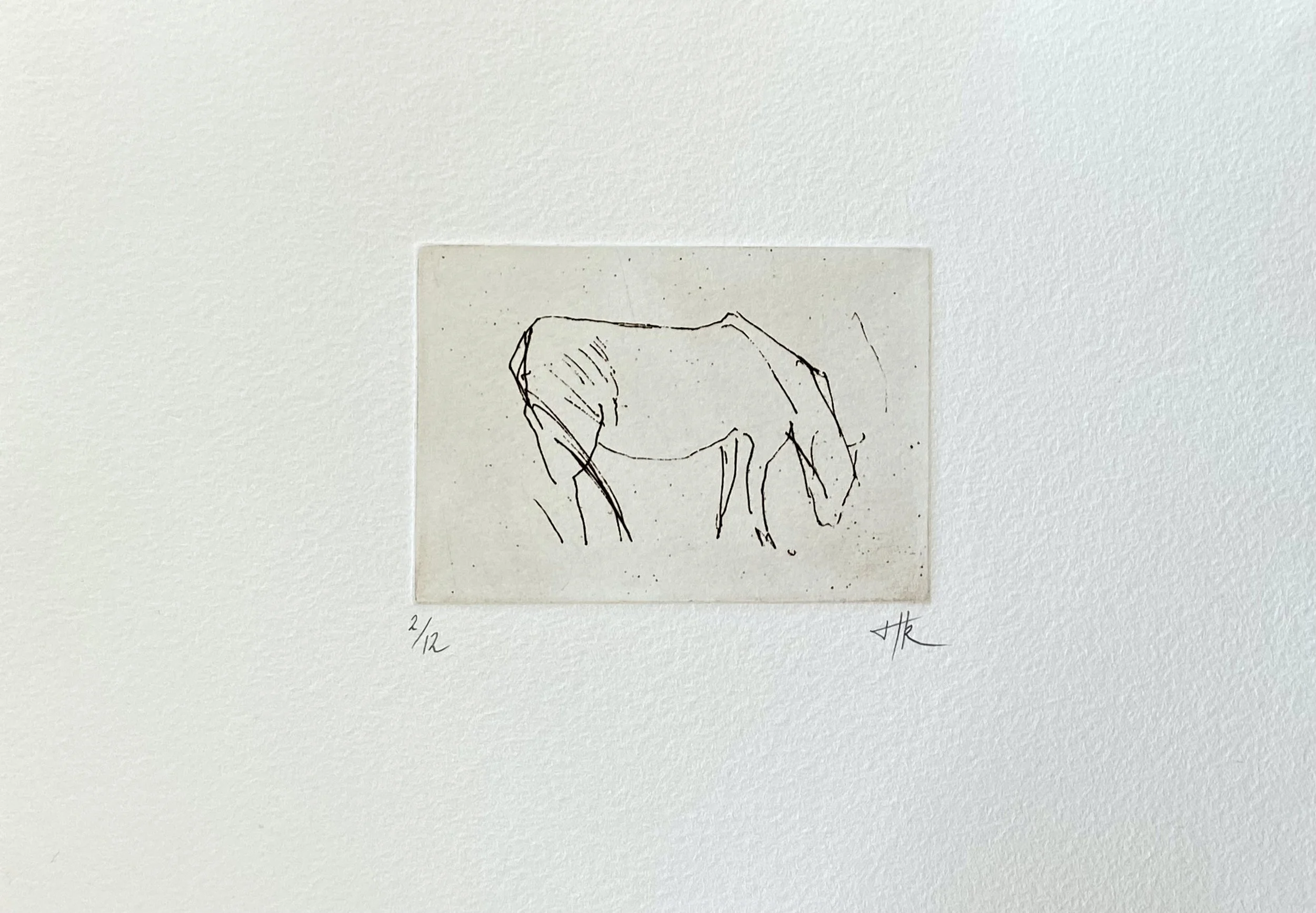 #5  Grazing Horse | Etching 2/12 | Image size 70mmx100mm | Paper size 190mm x270m | £60.00