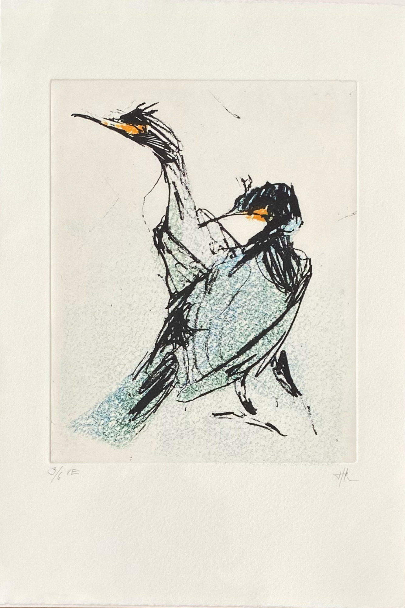 #3 Shags | Etching and monoprint 3/6 | Image size 250mmx200mm | Paper size 400mm x270m | £180.00