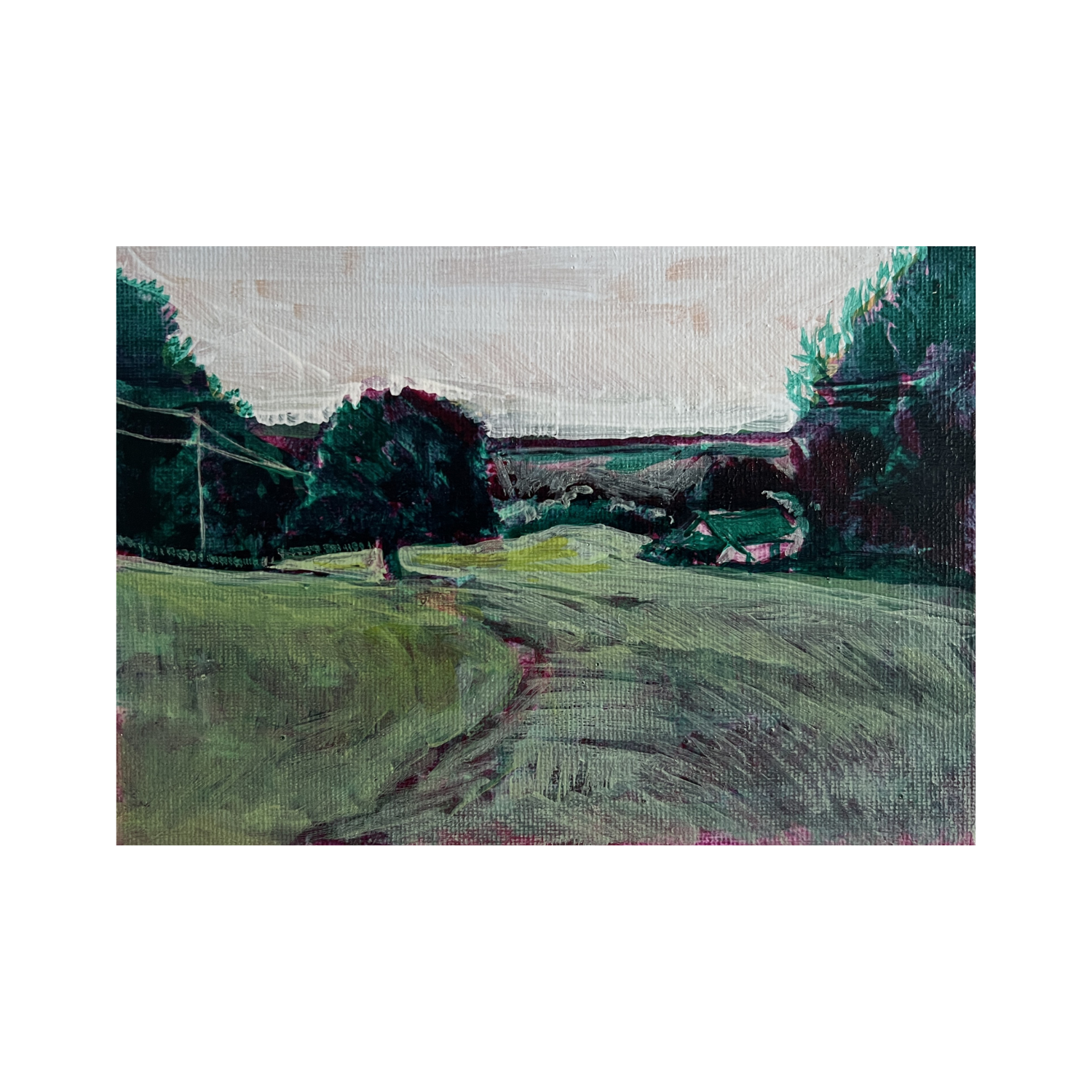 Luke McTaggart | View Down The Meadow | £150.00