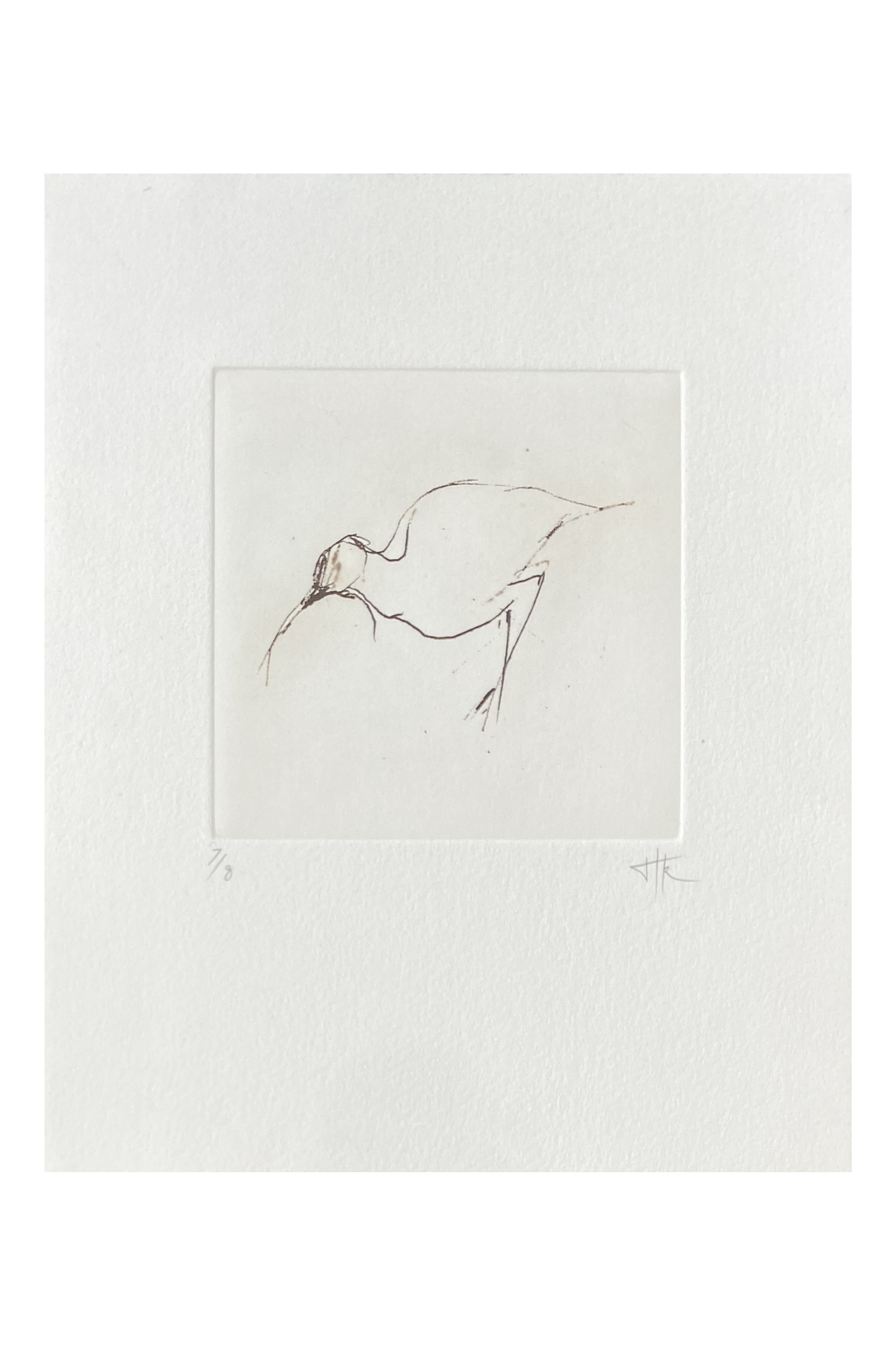 #4  Curlew | Etching 7/8 | Image size 120mmx120mm | Paper size 280mm x220m | £120.00