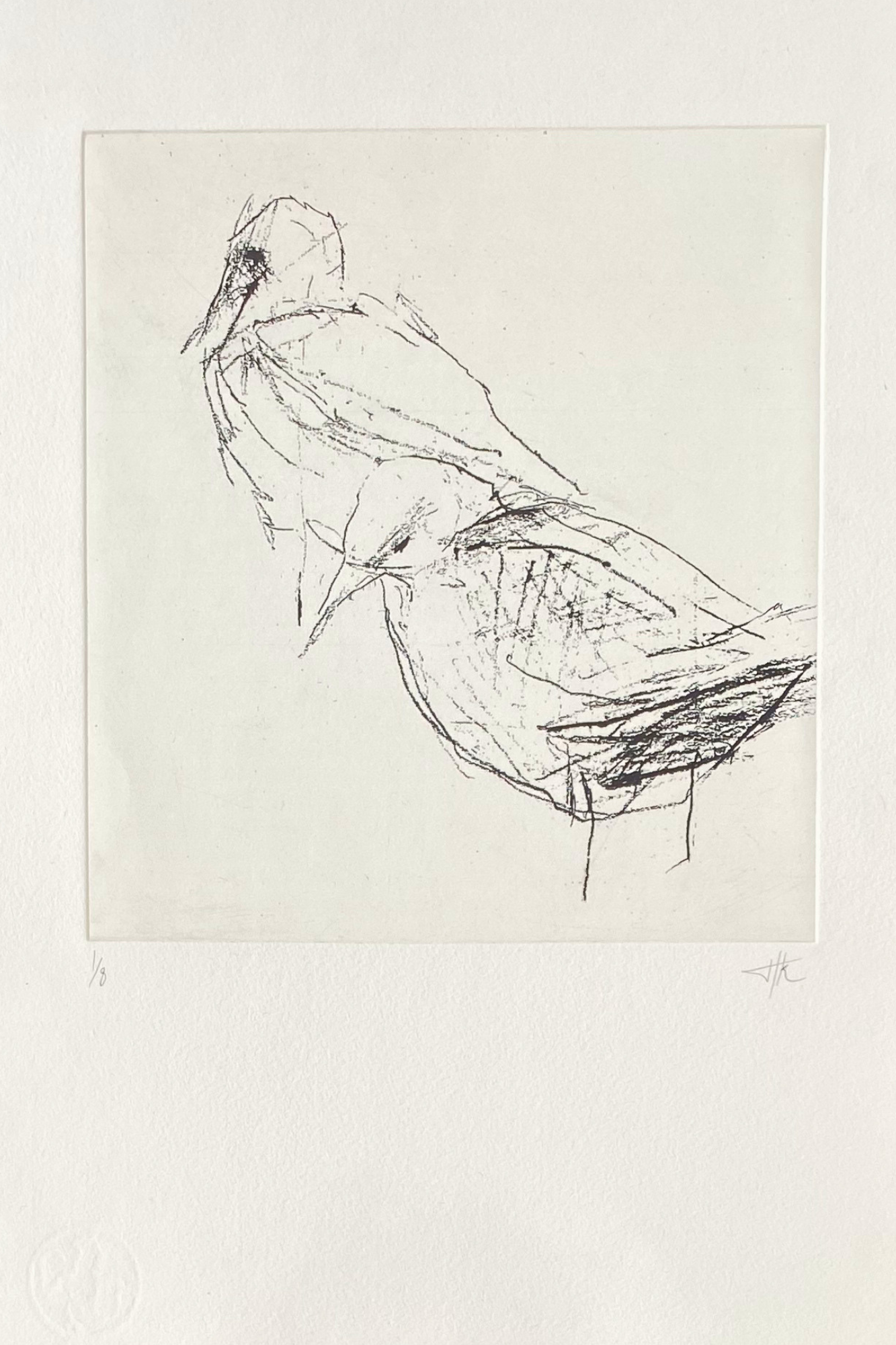 #1  Kittiwakes  |  Etching 1/8  |  Image size 210mmx190mm  |   Paper size 390mm x270m  |  £180.00