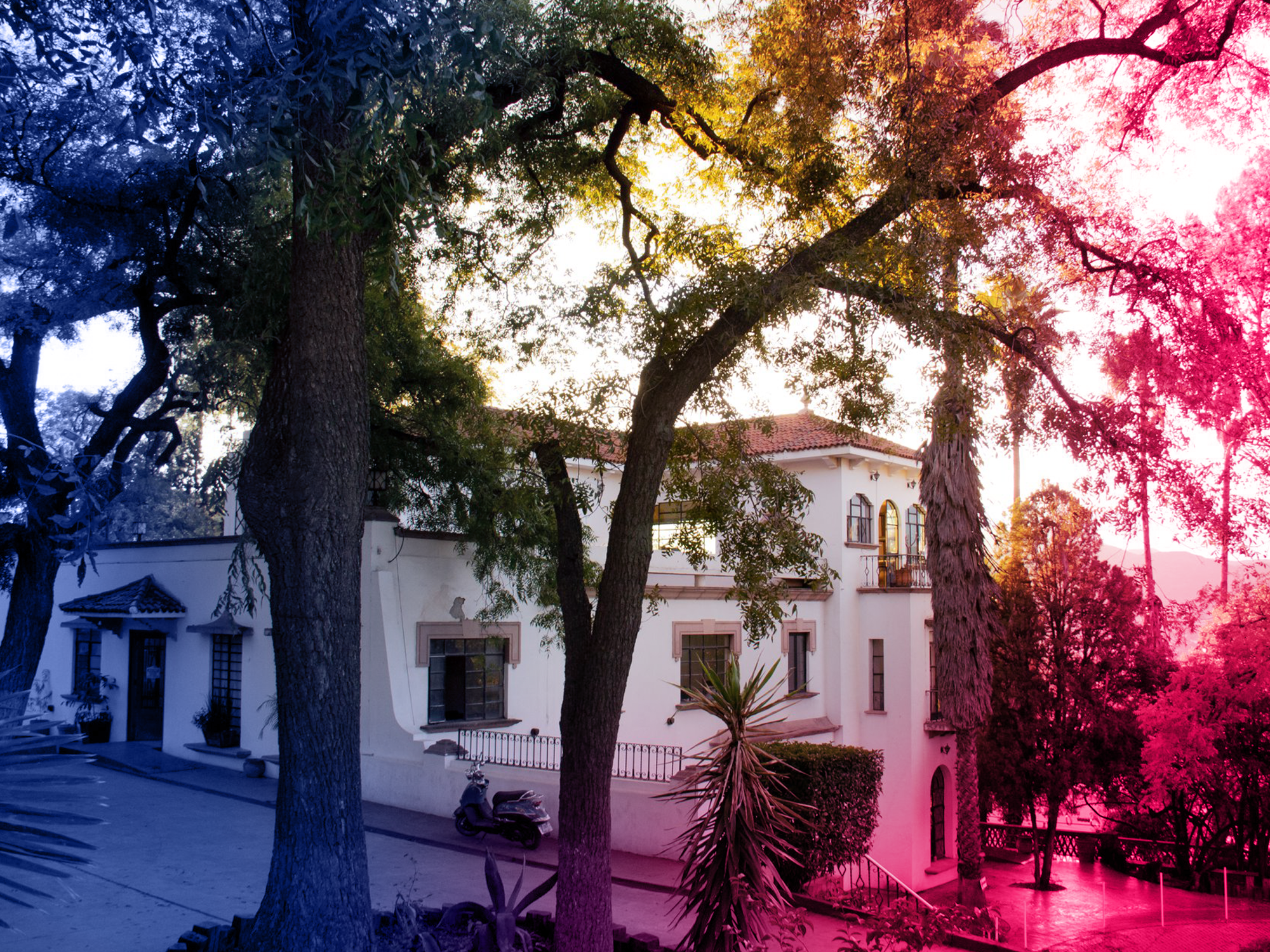 UCA-06.png