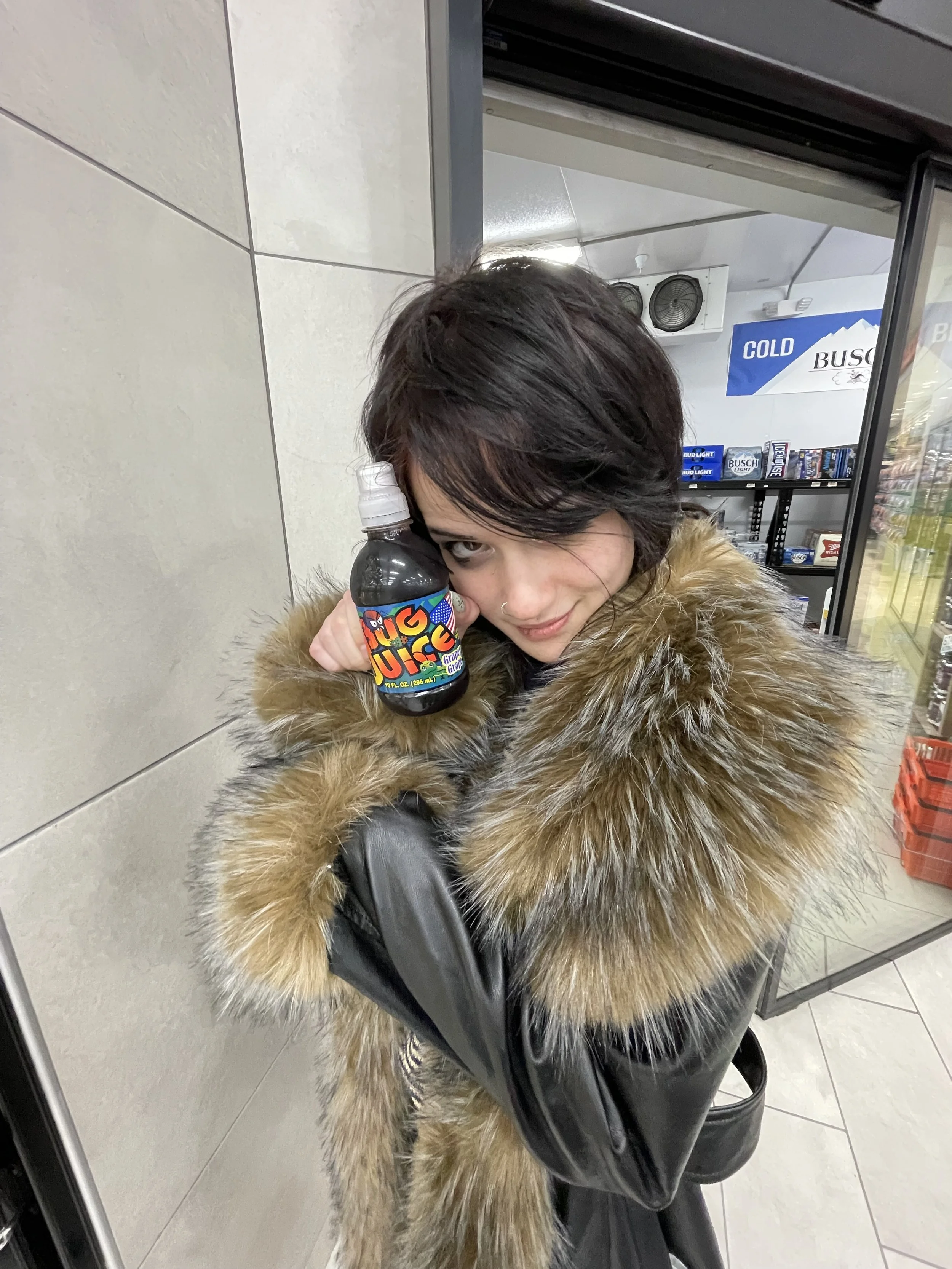 Diary 56