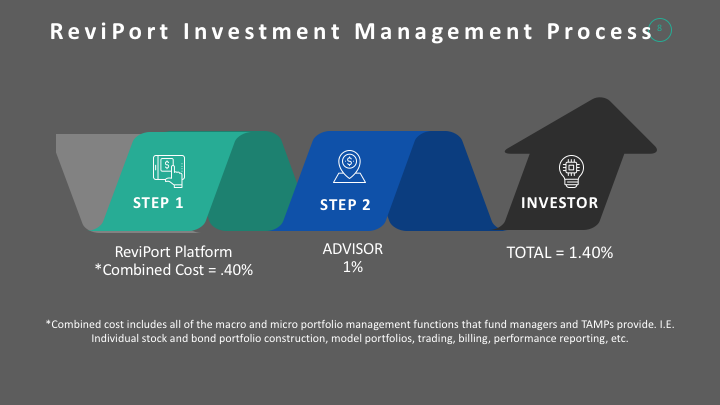 ReviPort Process.png