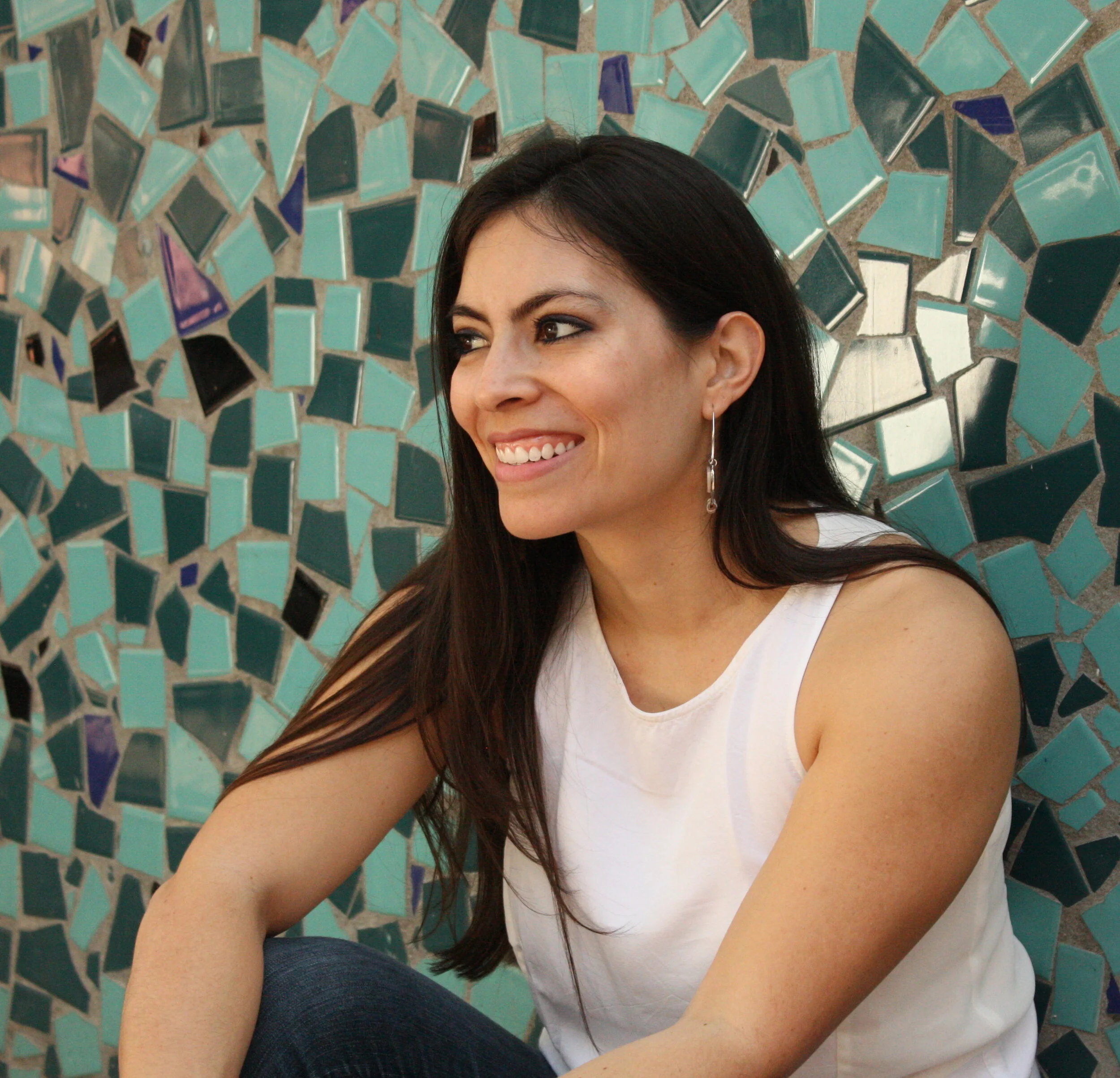 Crossing Cultures with Adult and YA Fiction: A Conversation with Natalia Sylvester