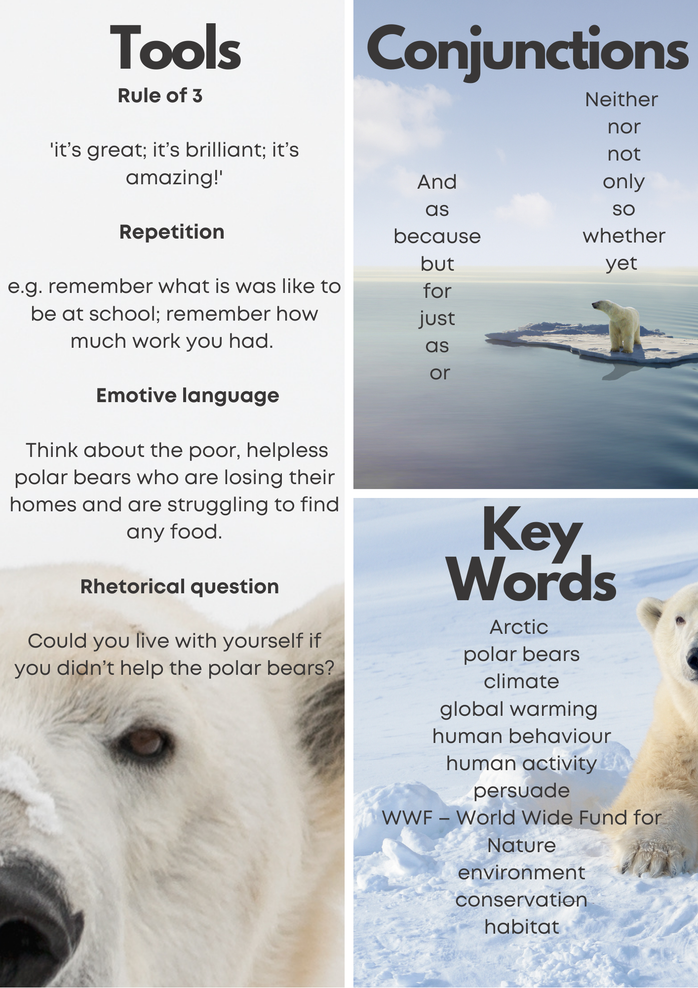 Interview lesson help sheet.png