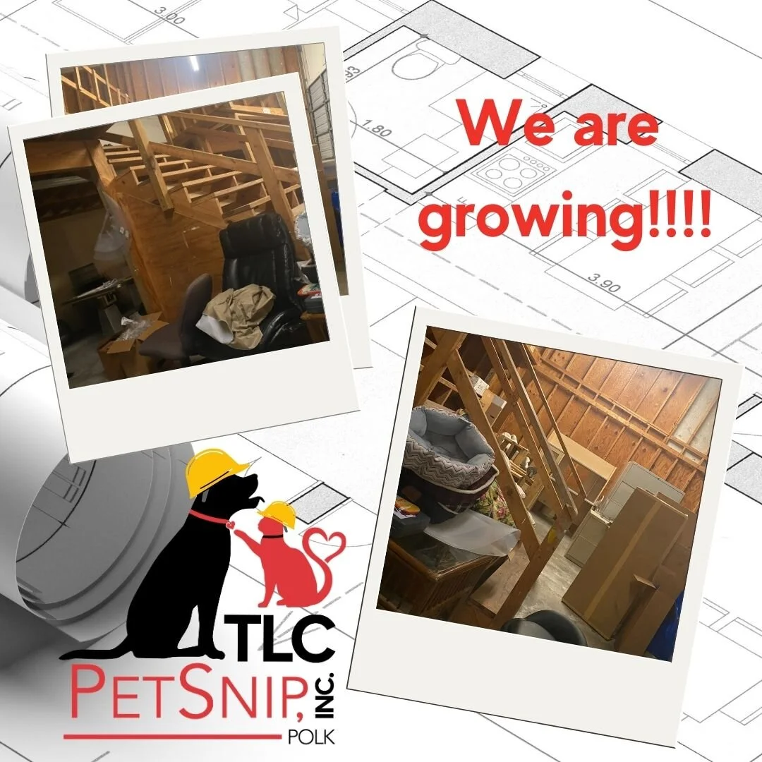 We are GROWING 