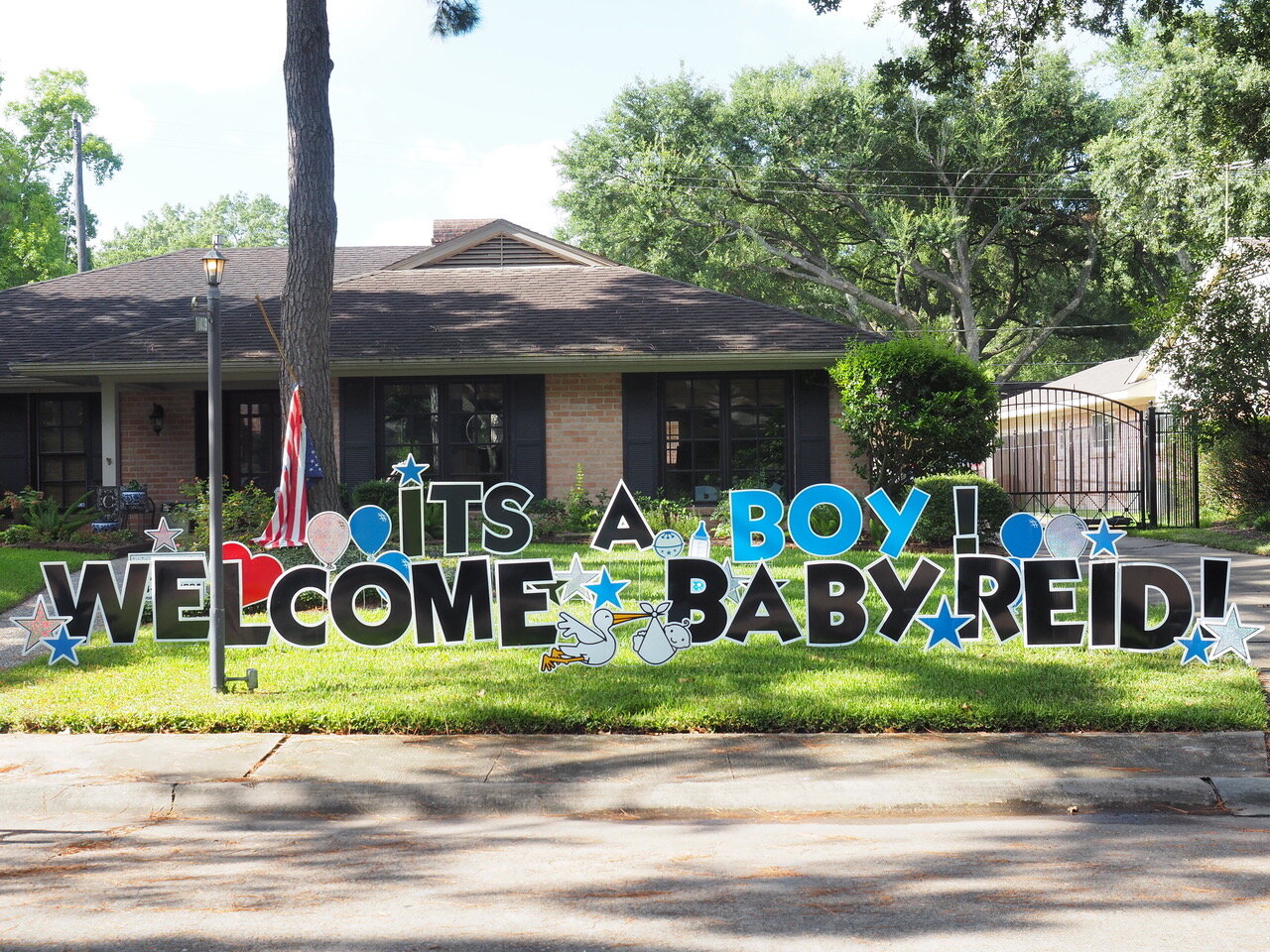 Baby Boy.jpeg