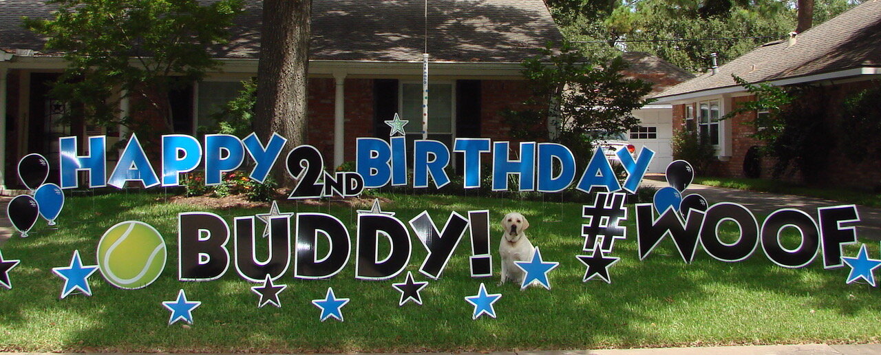 buddy copy.jpeg