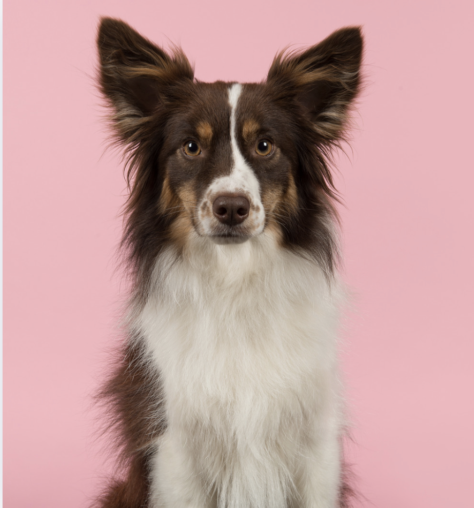 Screenshot 2026-04-08 at 10.44.09 pm.png