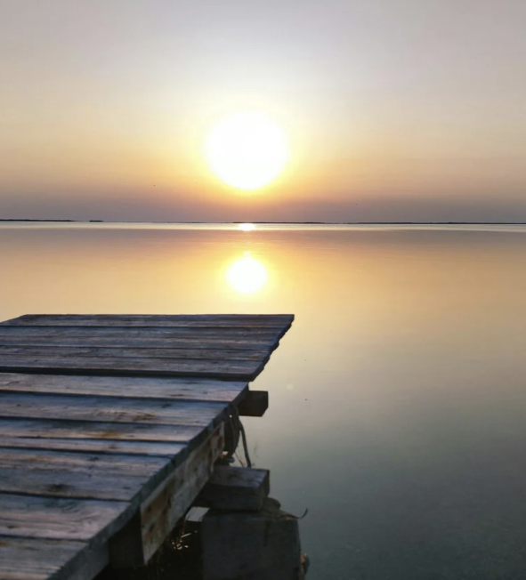 One Month Reiki (30 Minutes for 30 Days)