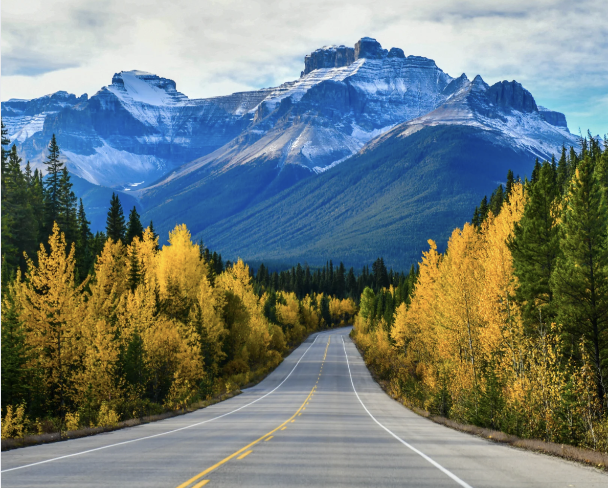 One-hour virtual Reiki session