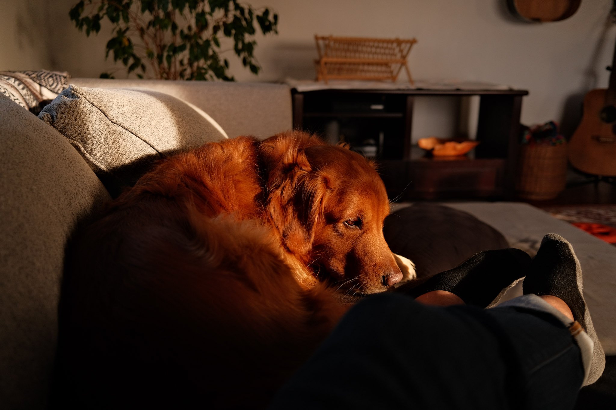HOME-090.jpg