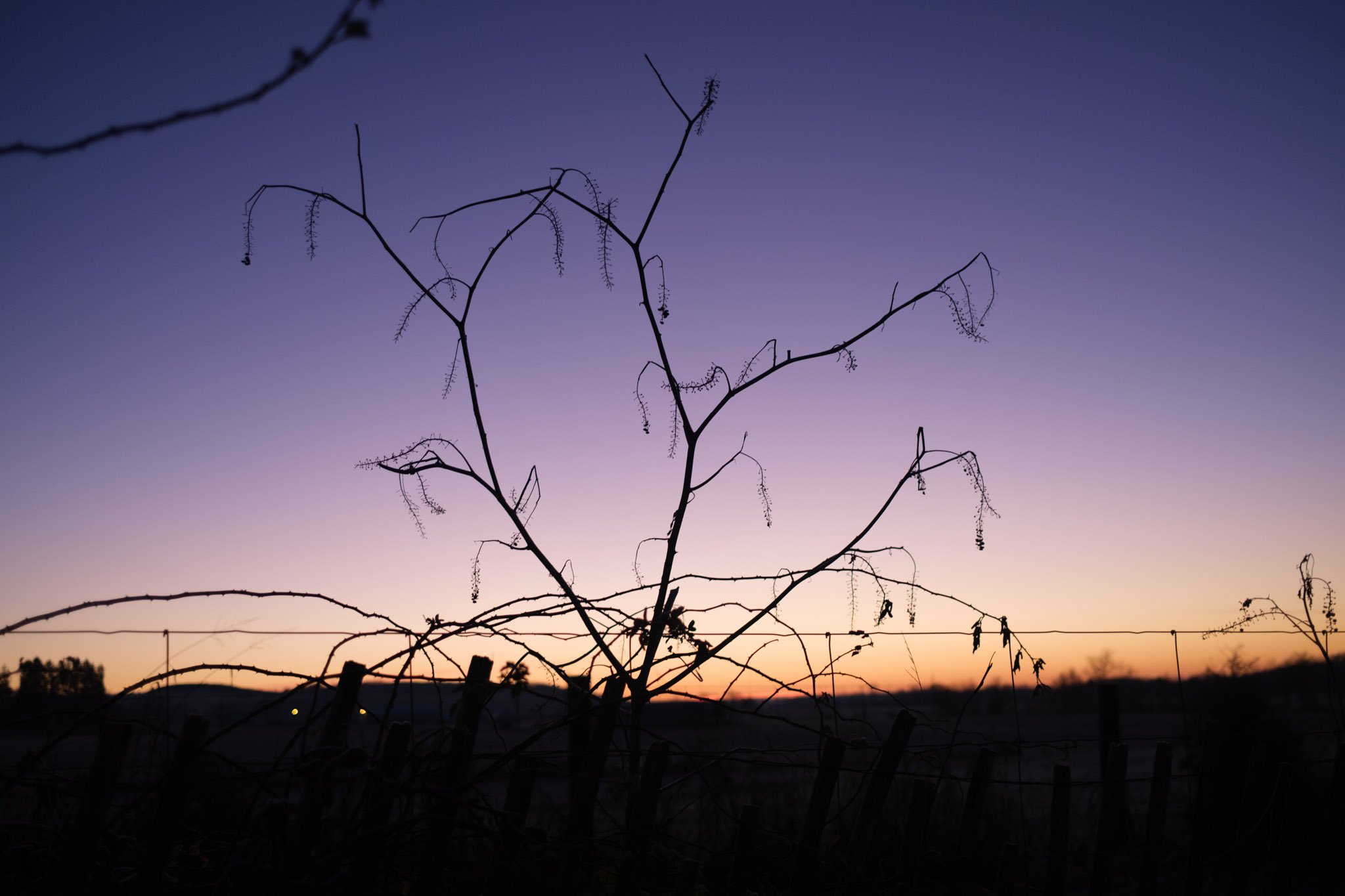 HOME-054.jpg