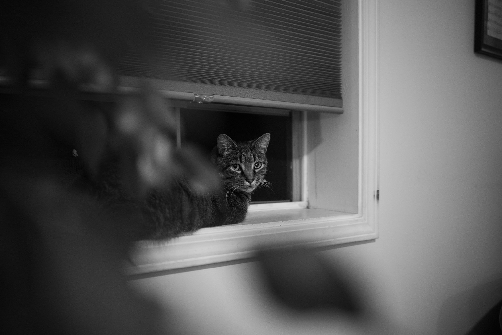 HOME-018.jpg
