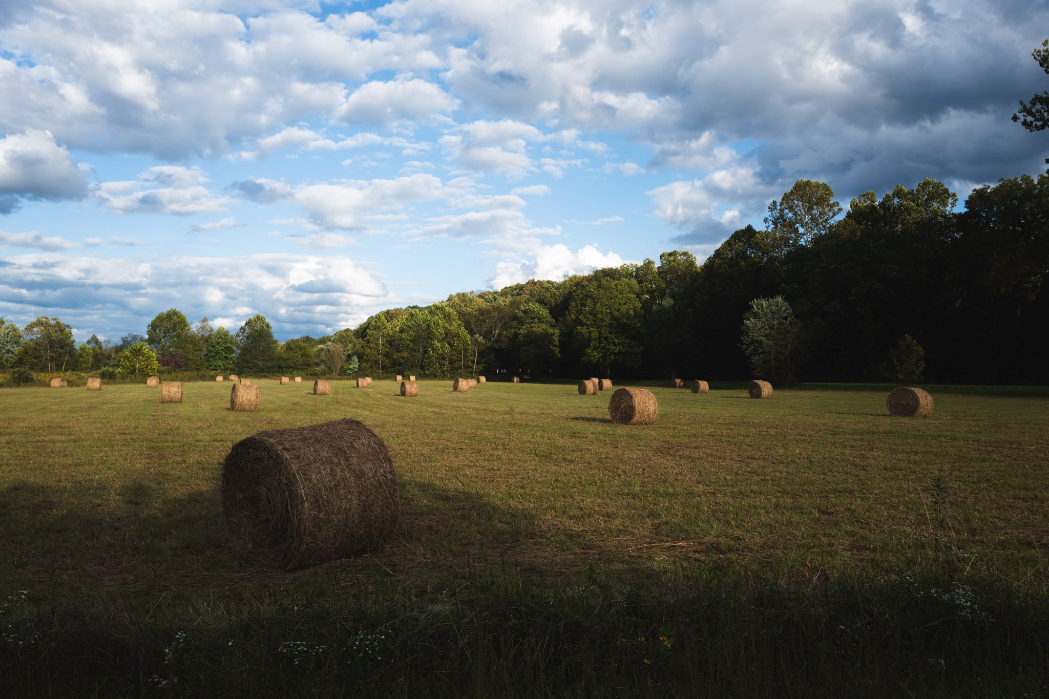 HOME-080.jpg
