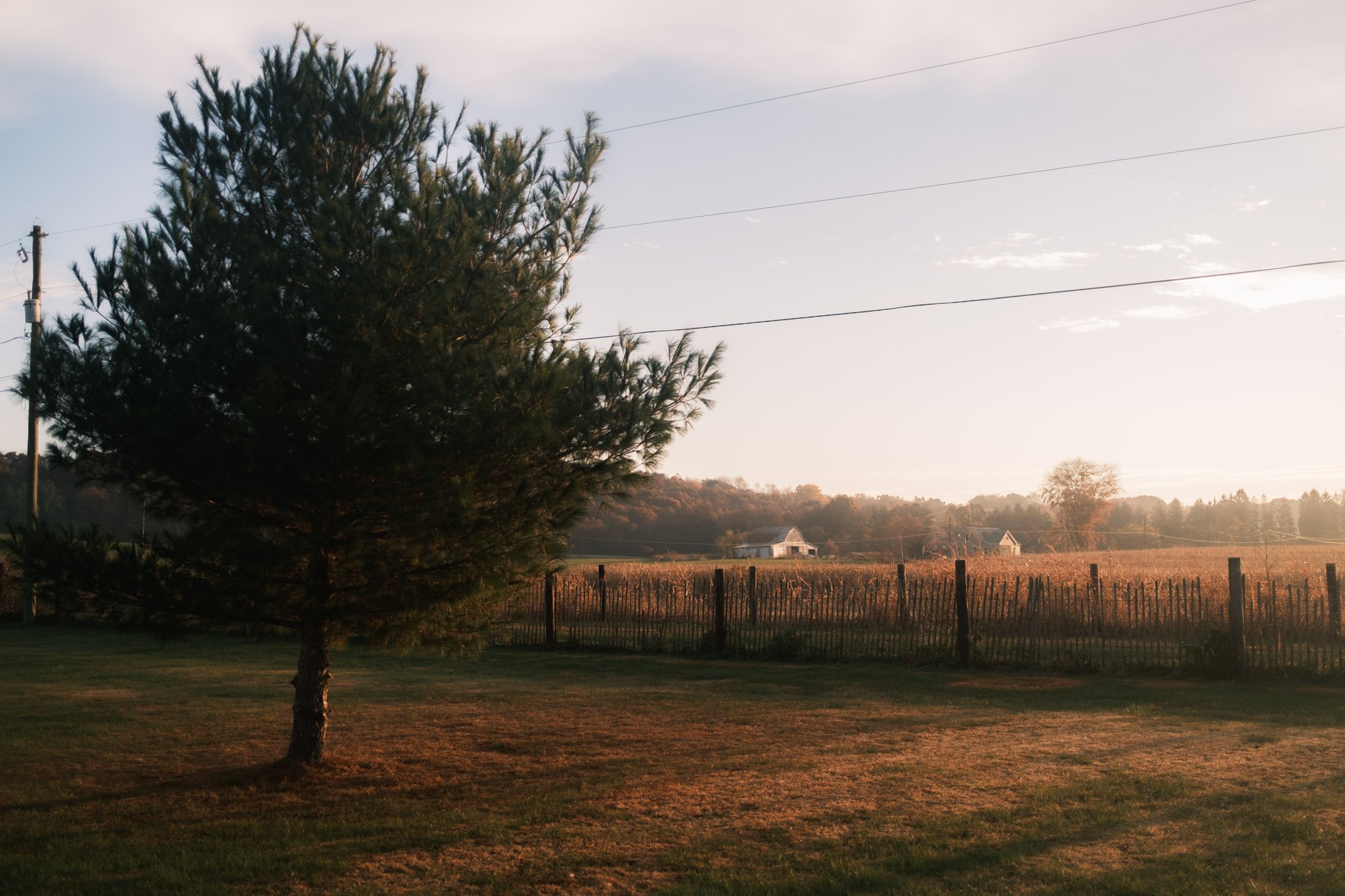 HOME-085.jpg