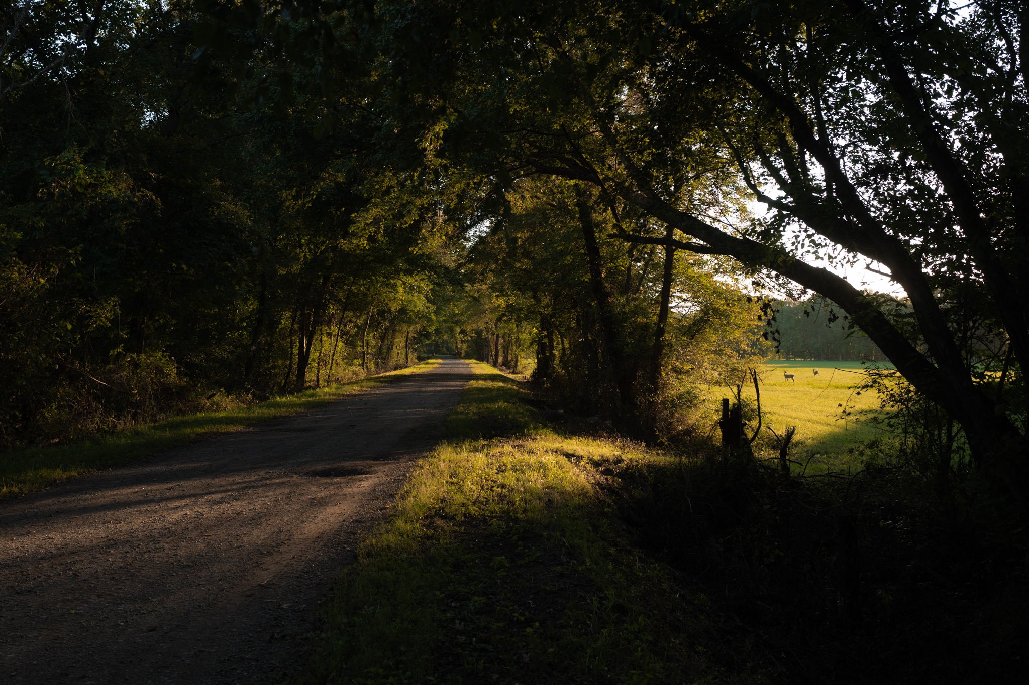 HOME-042.jpg